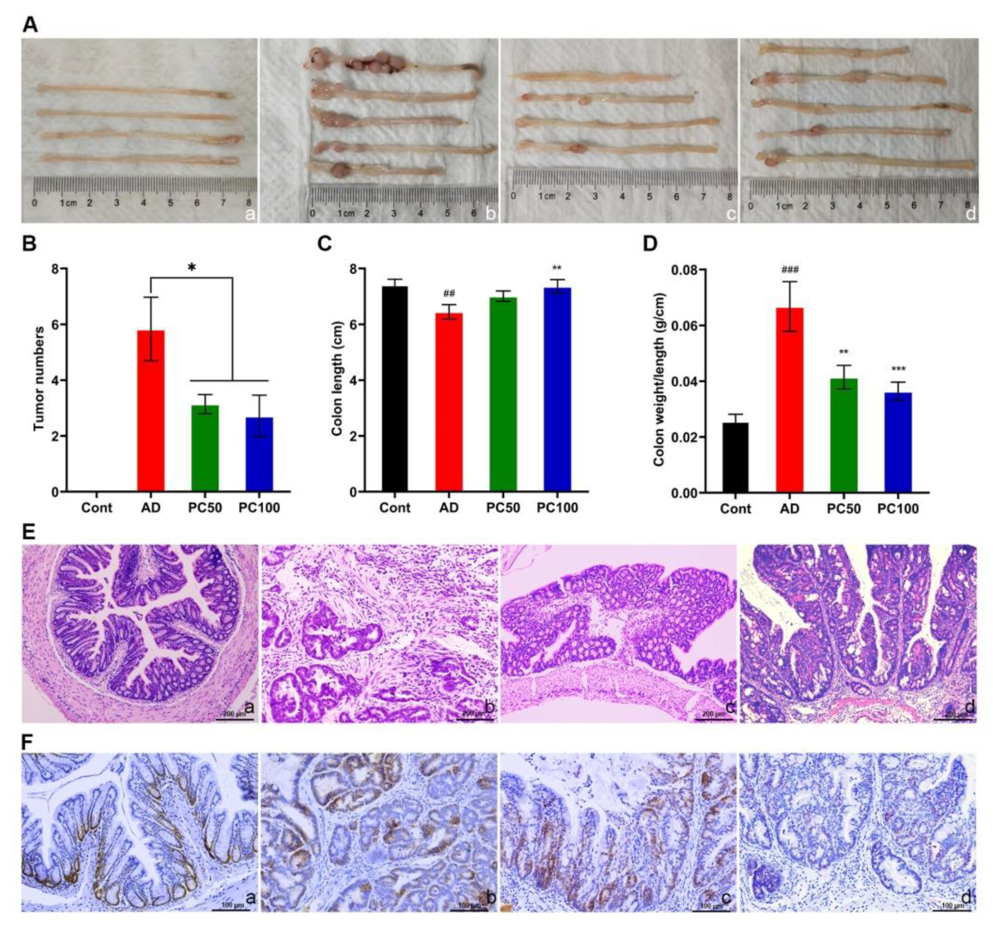 Marinedrugs 20 00260 g002
