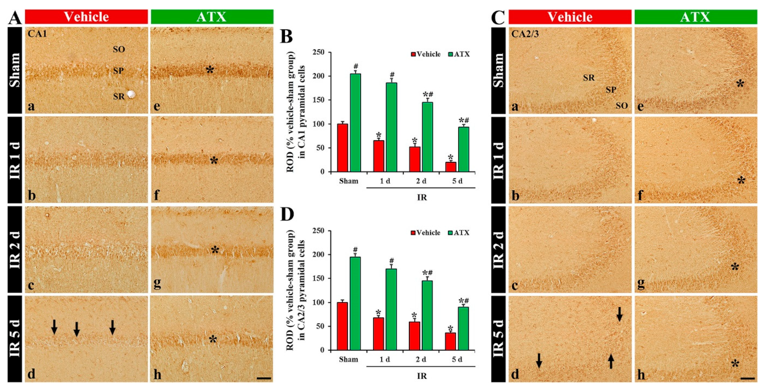 Marinedrugs 20 00267 g007