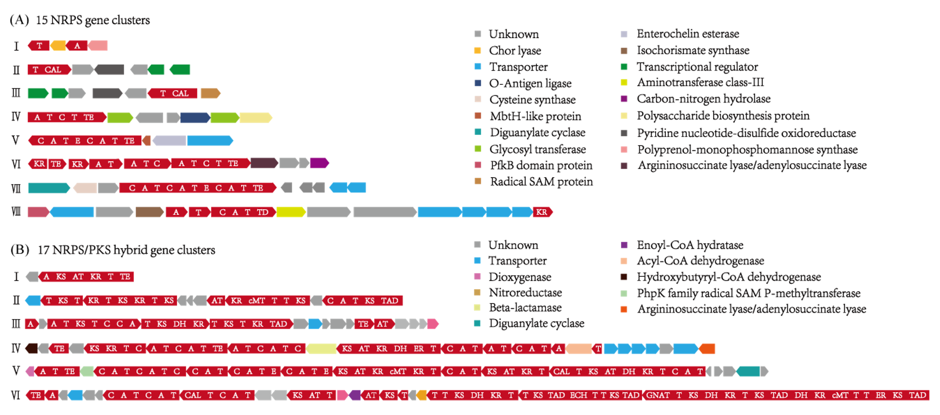 Marinedrugs 20 00269 g001 Marinedrugs 20 00269 g001