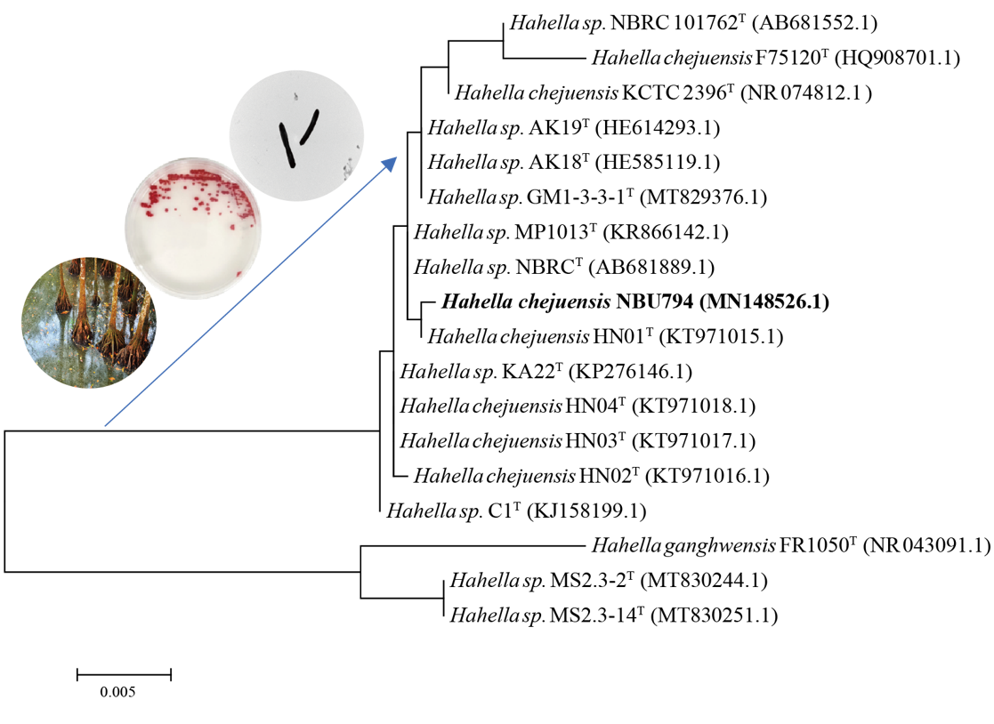 Marinedrugs 20 00269 g002 Marinedrugs 20 00269 g002