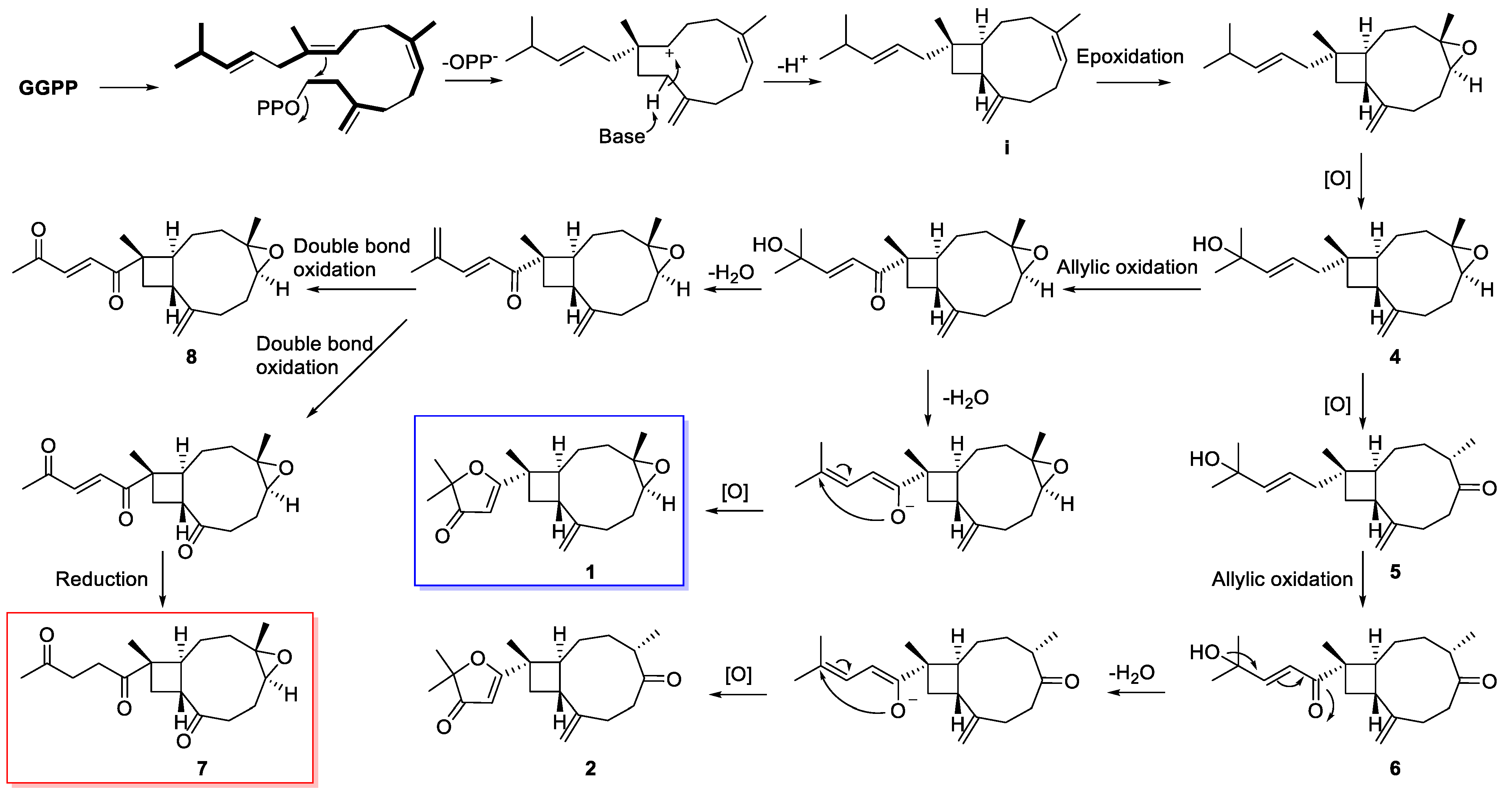 Marinedrugs 20 00272 sch001