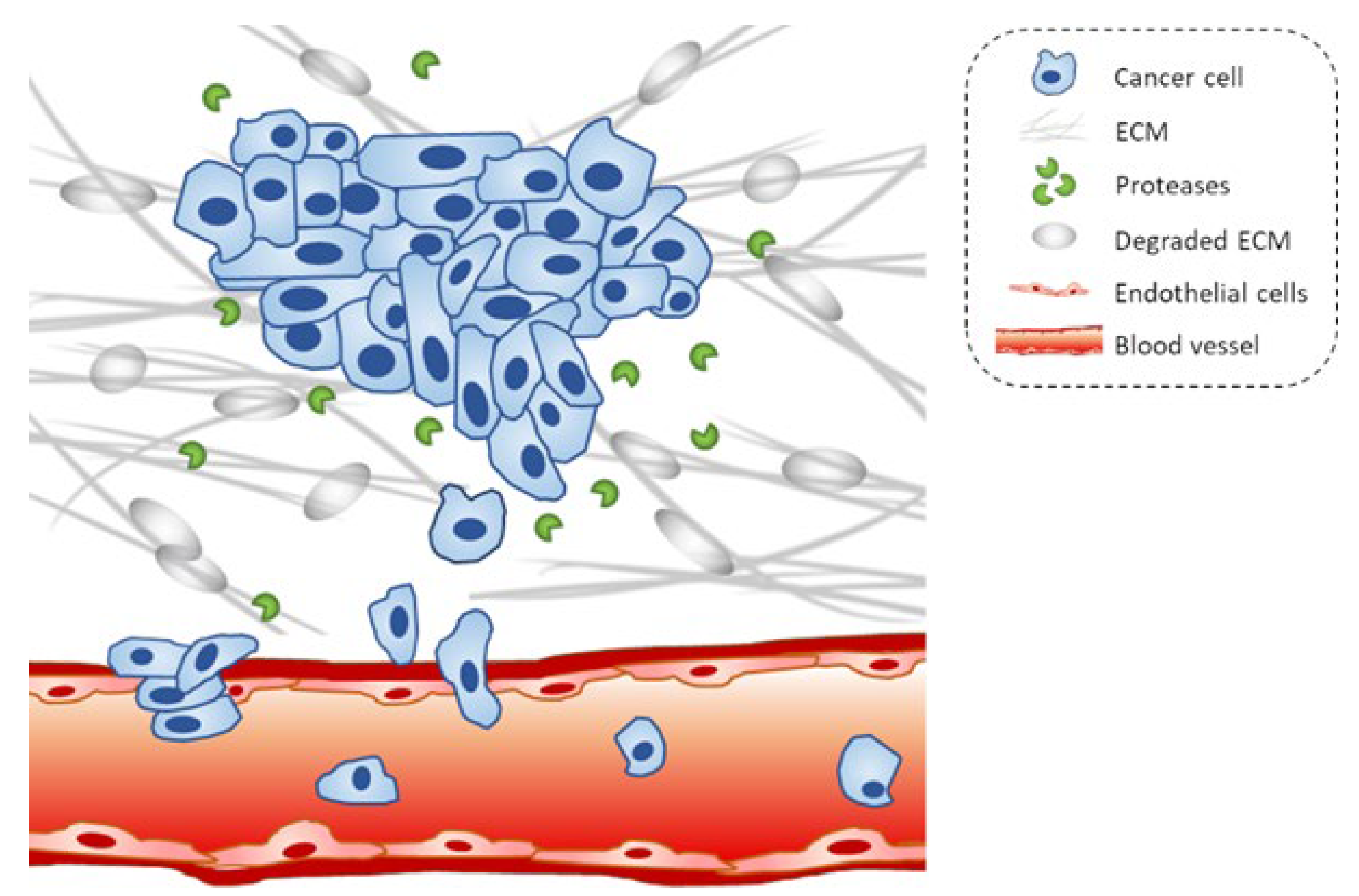 Marinedrugs 20 00273 g001 550