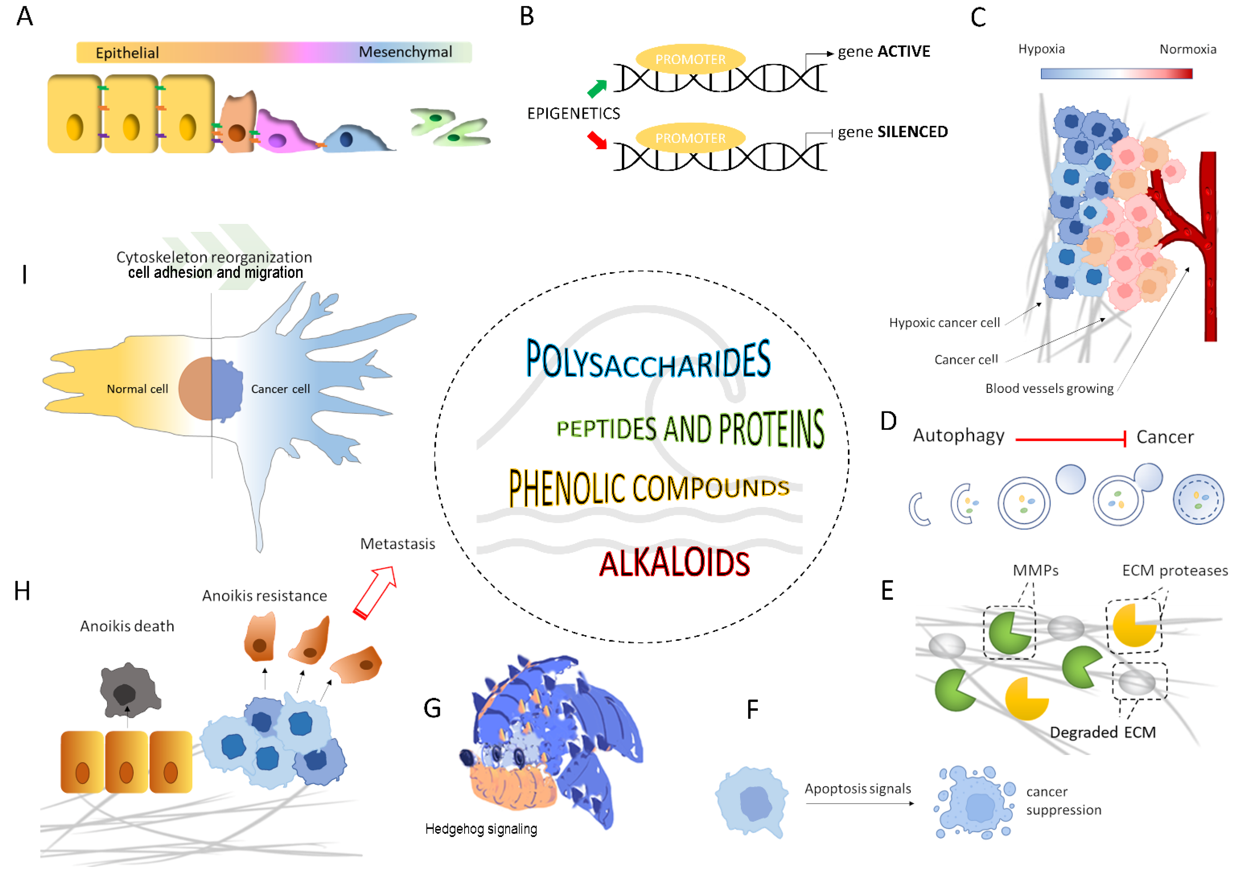 Marinedrugs 20 00273 g005 550