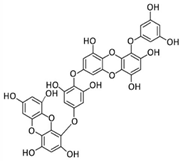 Marinedrugs 20 00273 i002