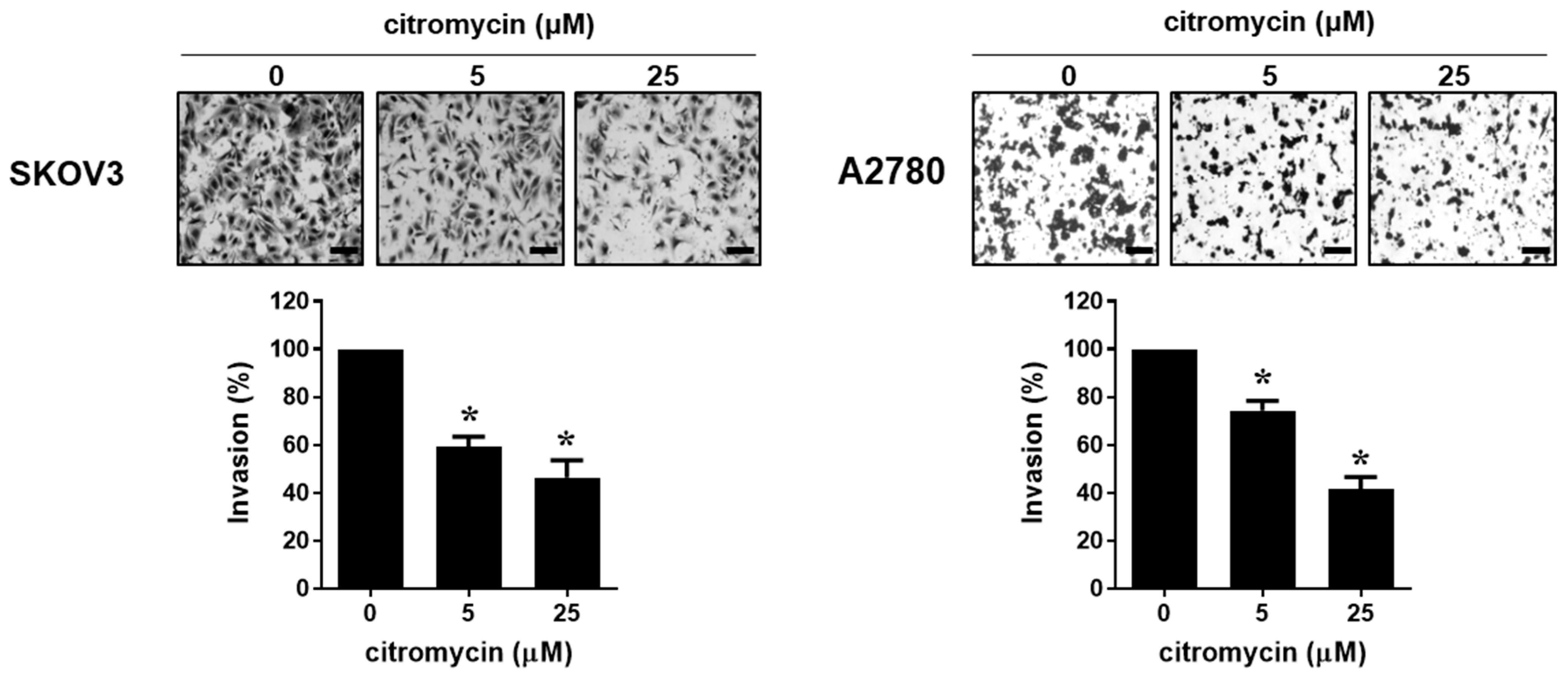 Marinedrugs 20 00275 g003