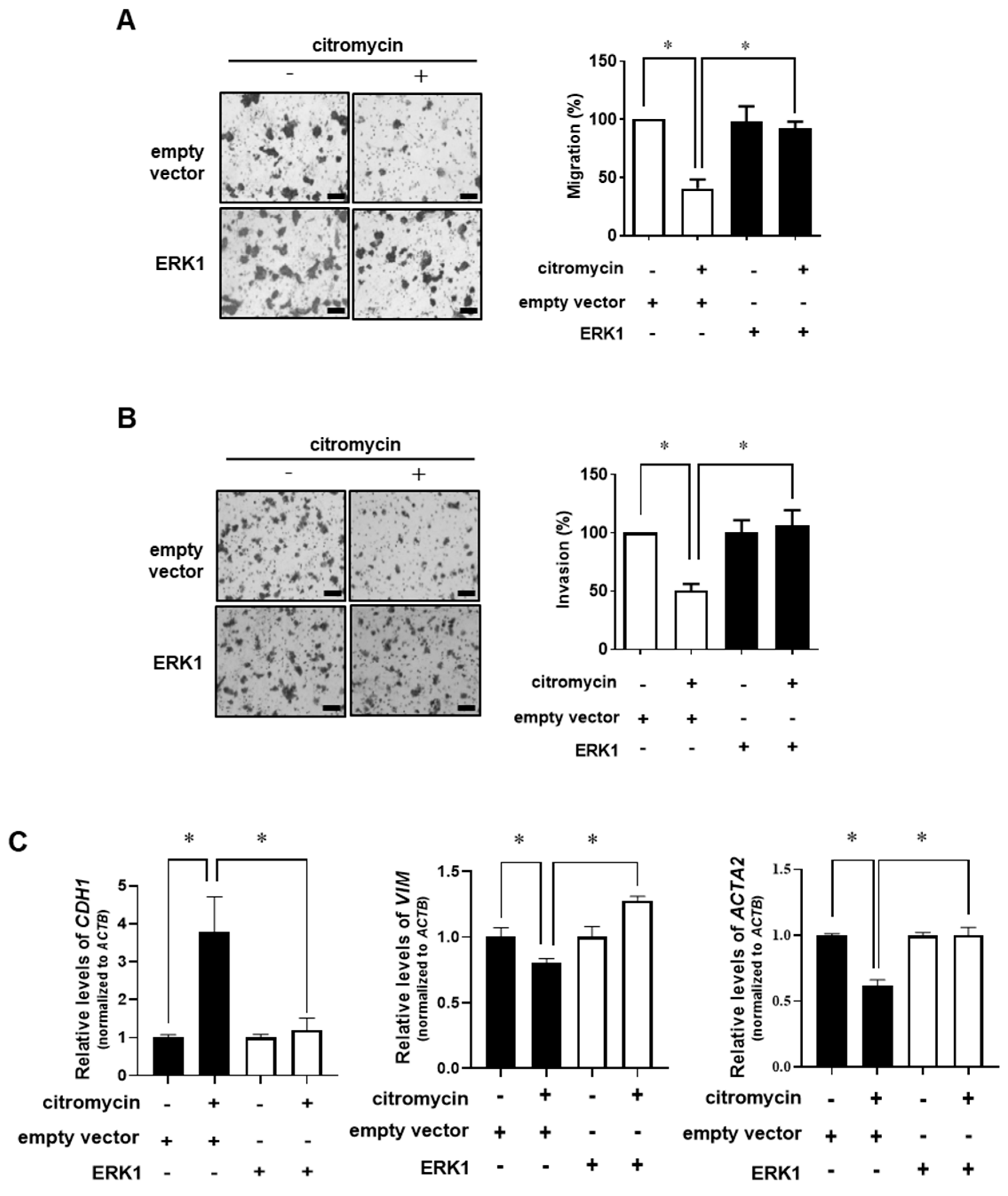 Marinedrugs 20 00275 g006