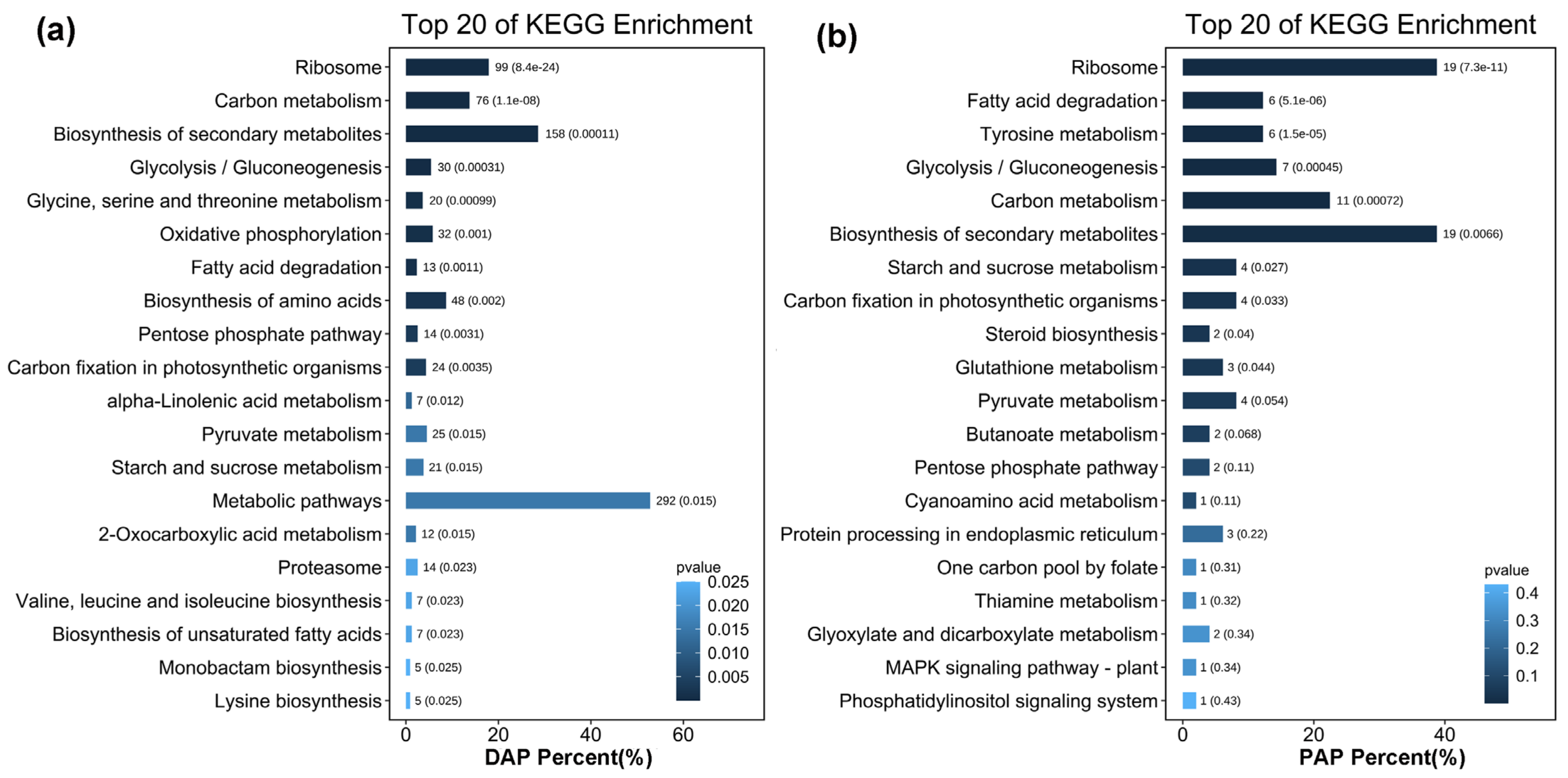 Marinedrugs 20 00276 g006