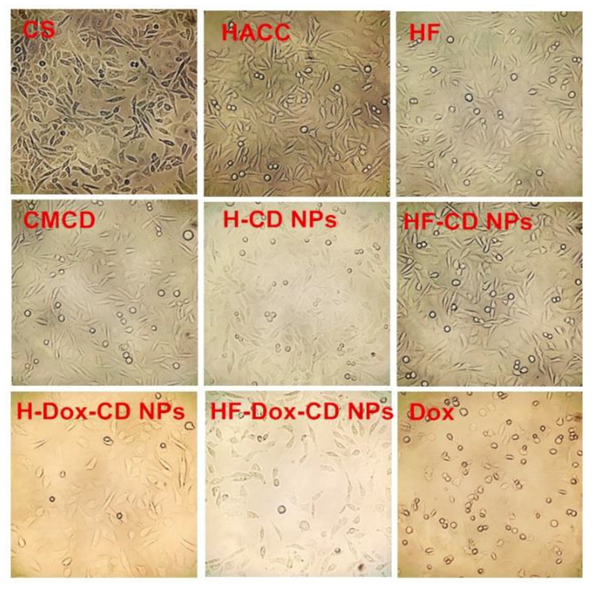 Marinedrugs 20 00278 g010