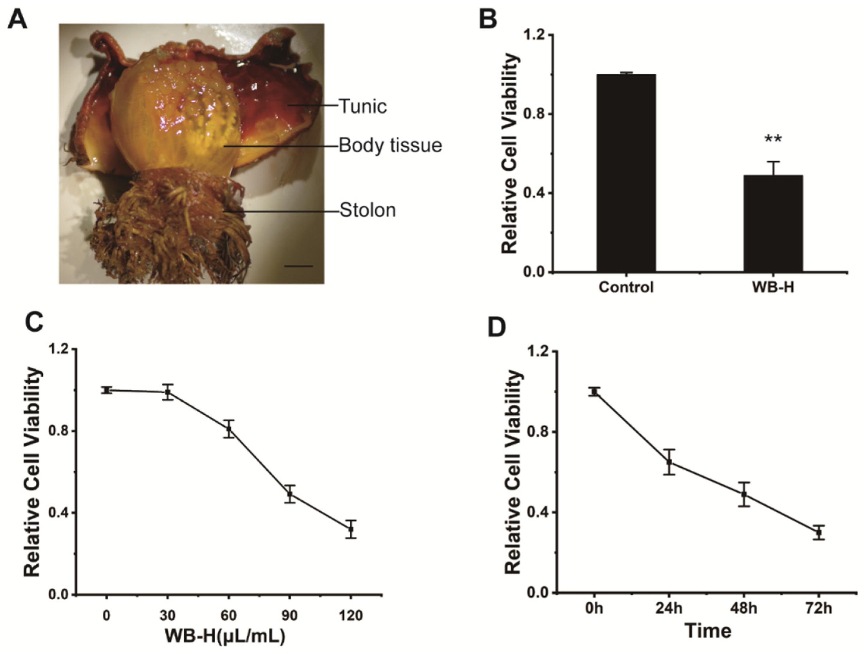 Marinedrugs 20 00284 g001