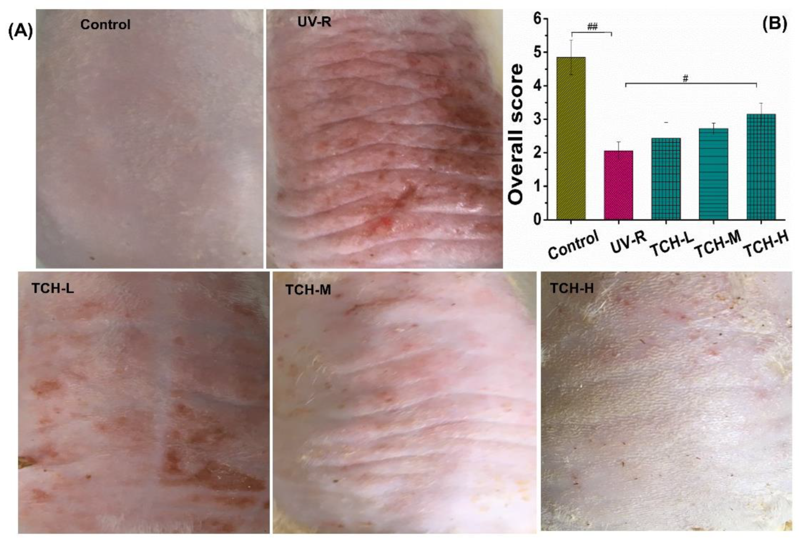 Marinedrugs 20 00286 g001