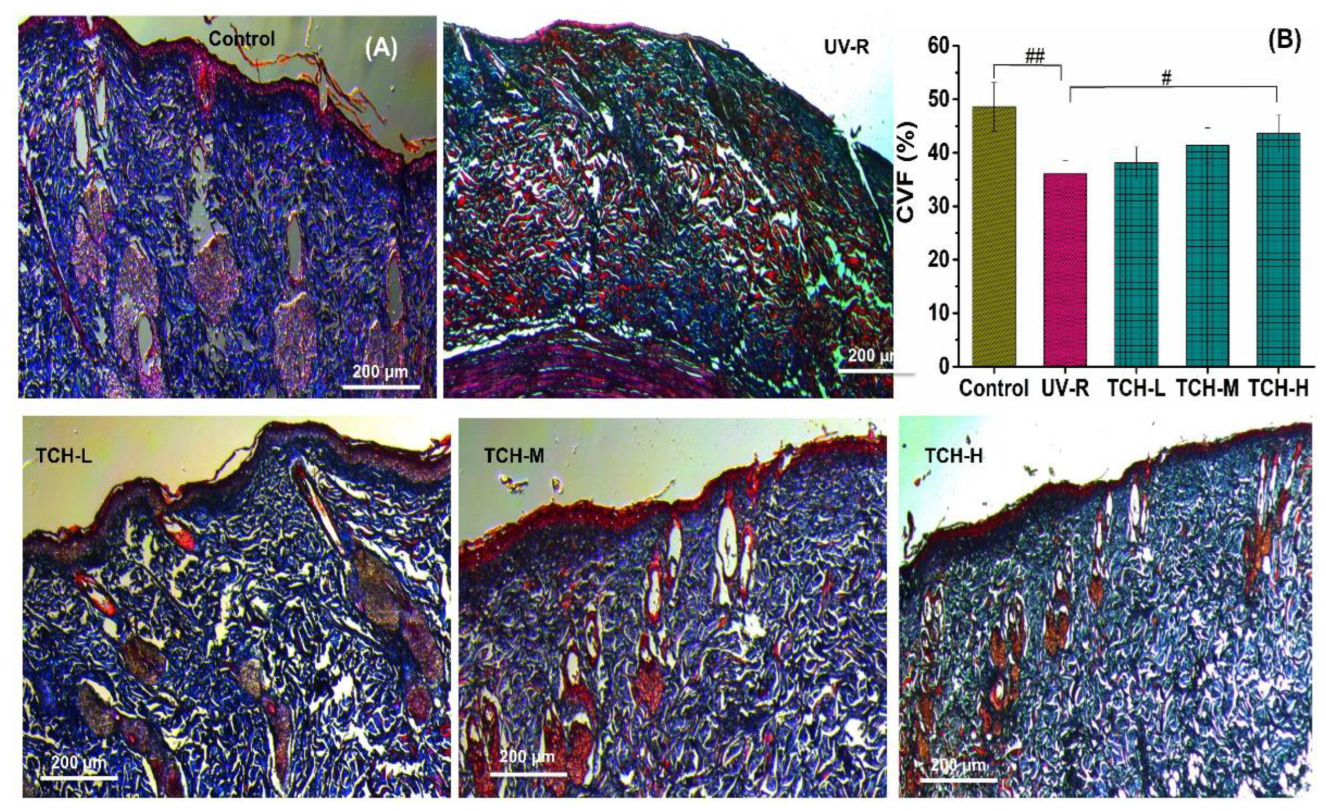 Marinedrugs 20 00286 g004