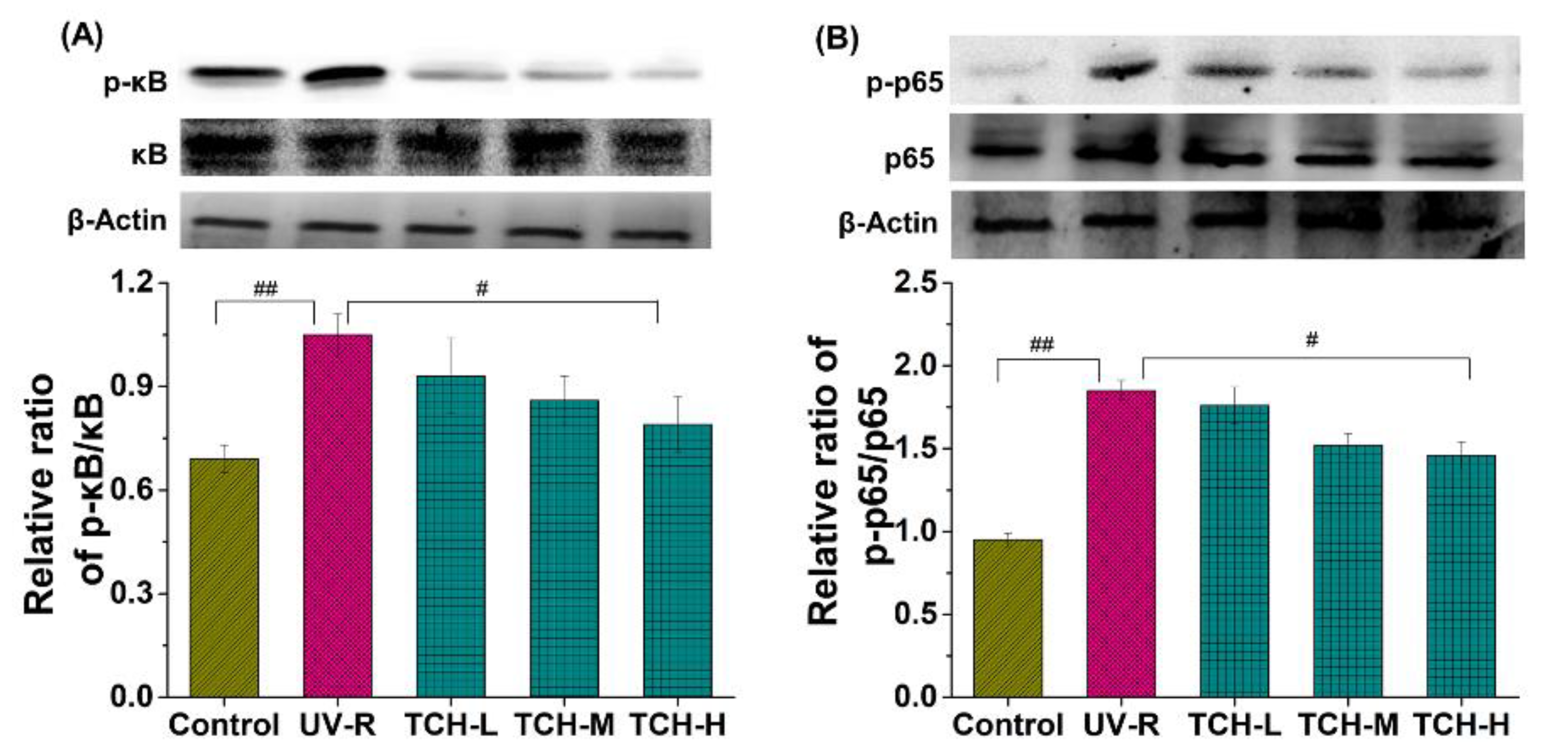Marinedrugs 20 00286 g009