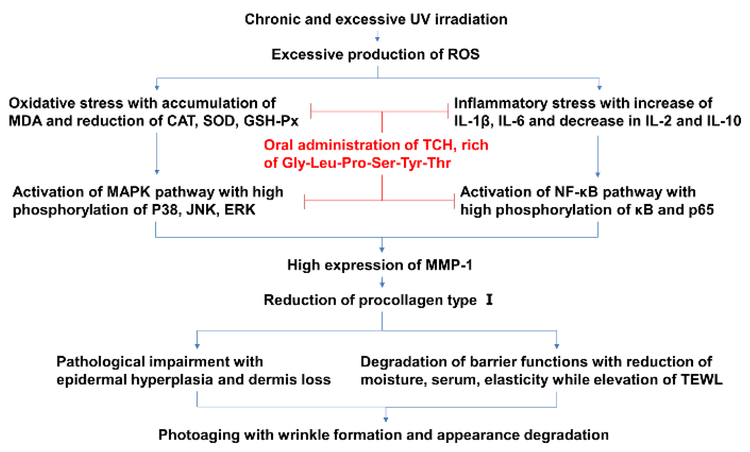 Marinedrugs 20 00286 g010