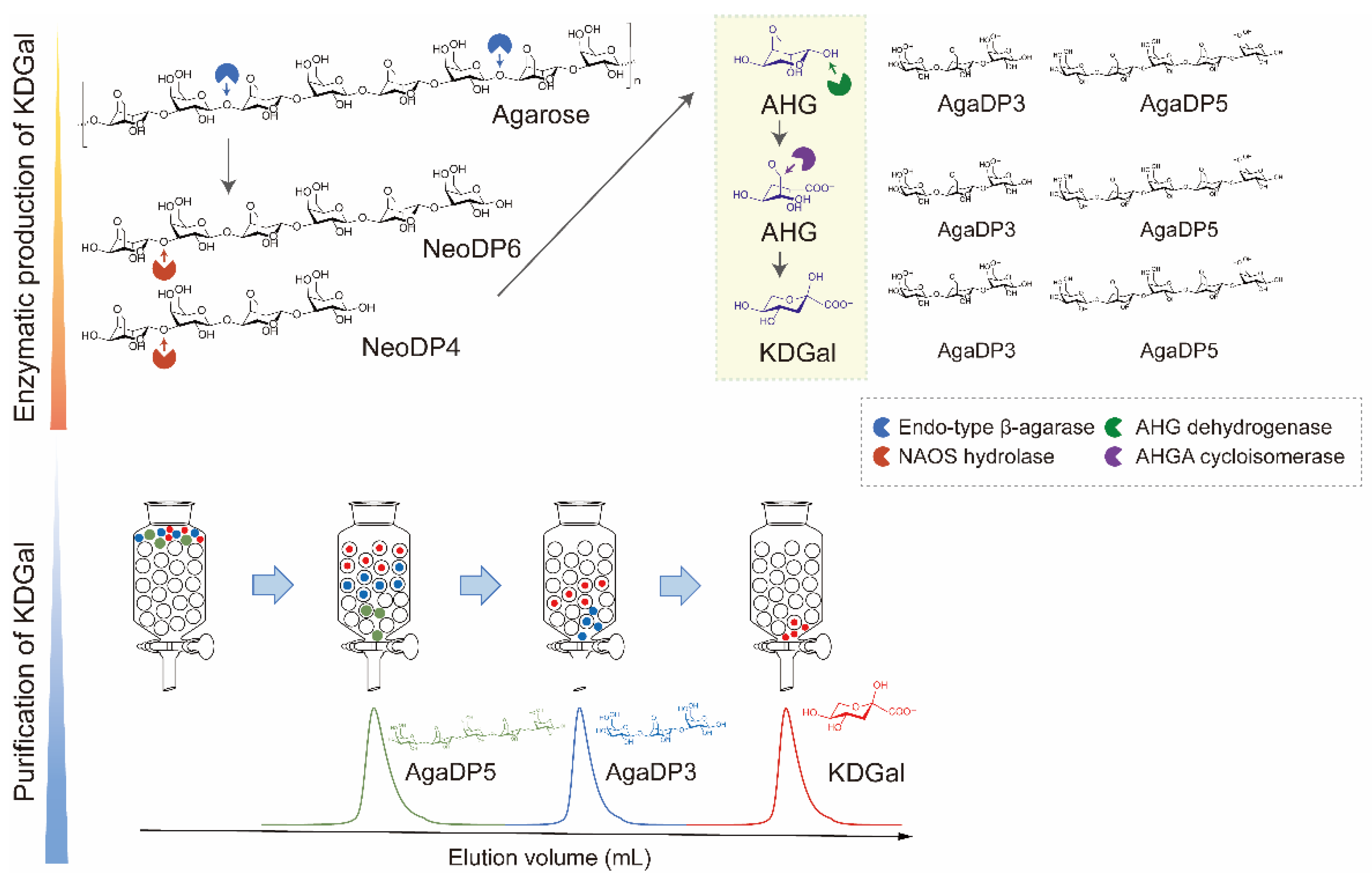 Marinedrugs 20 00288 g001 550