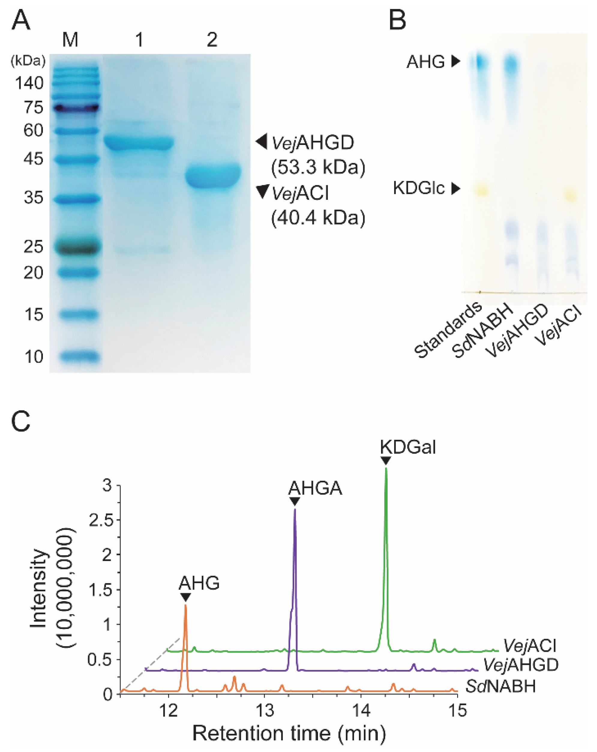 Marinedrugs 20 00288 g003 550