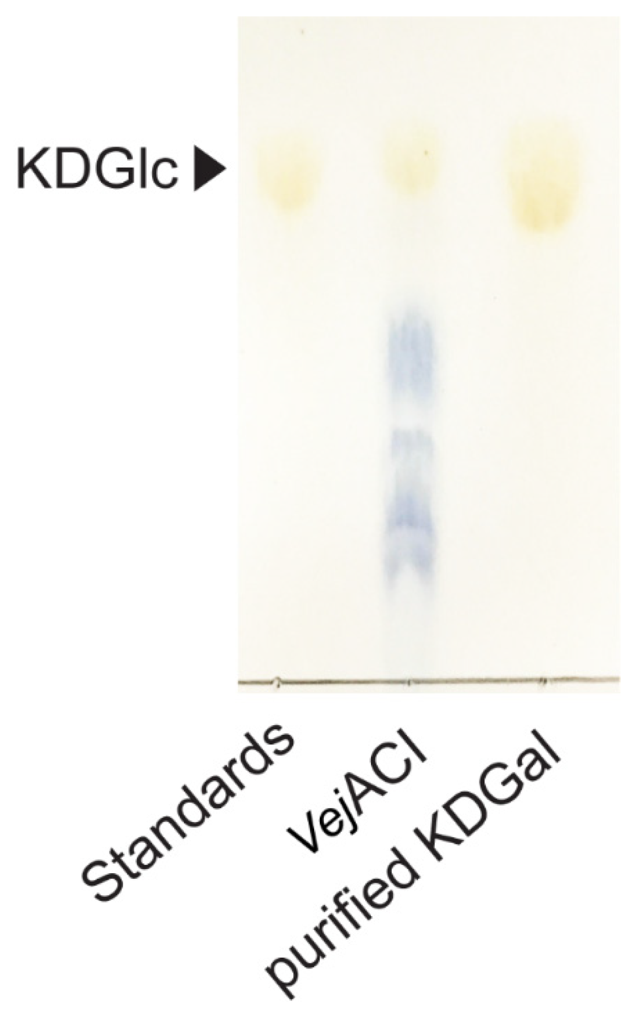 Marinedrugs 20 00288 g005 550