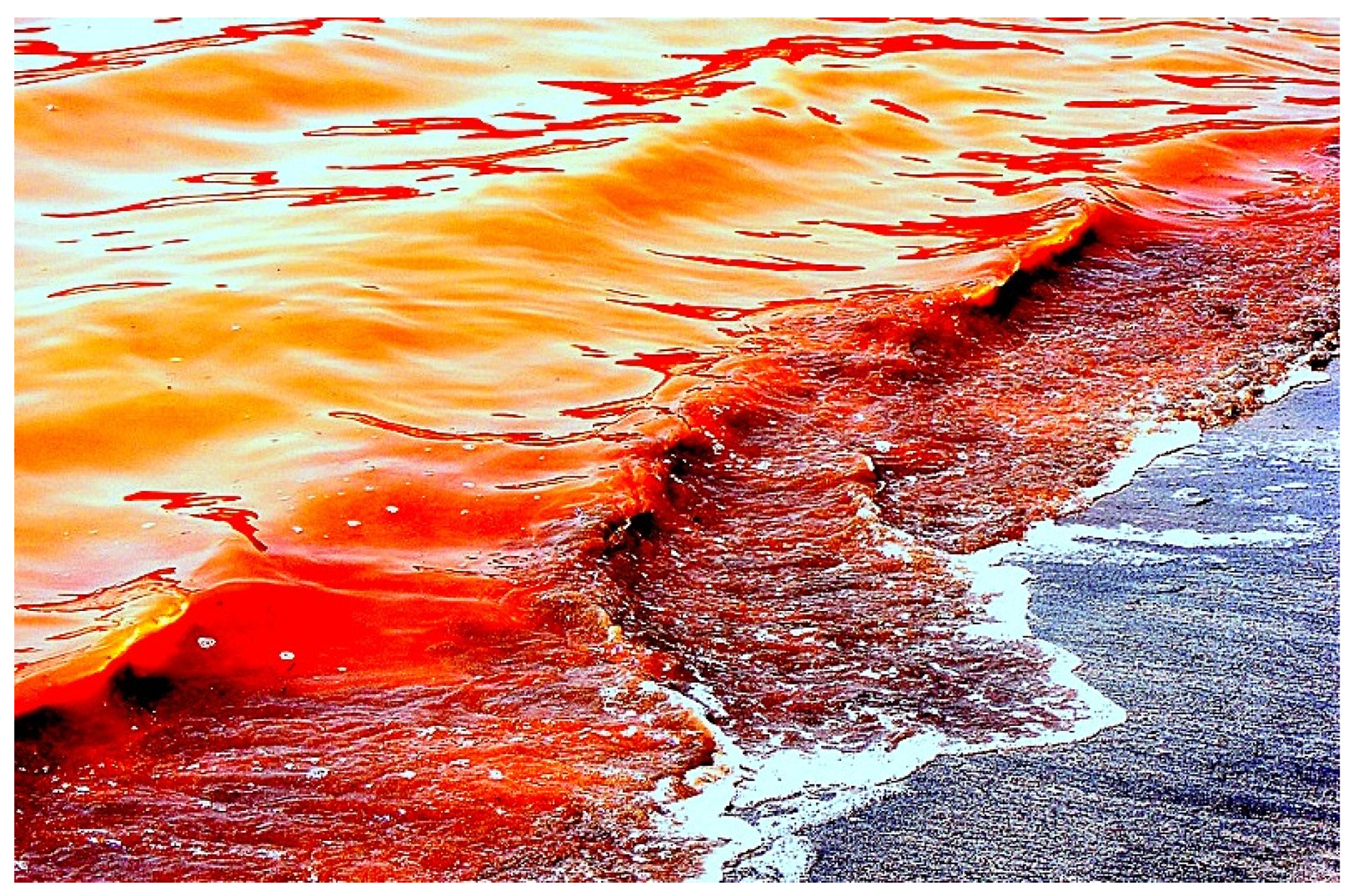 Marinedrugs 20 00292 g013