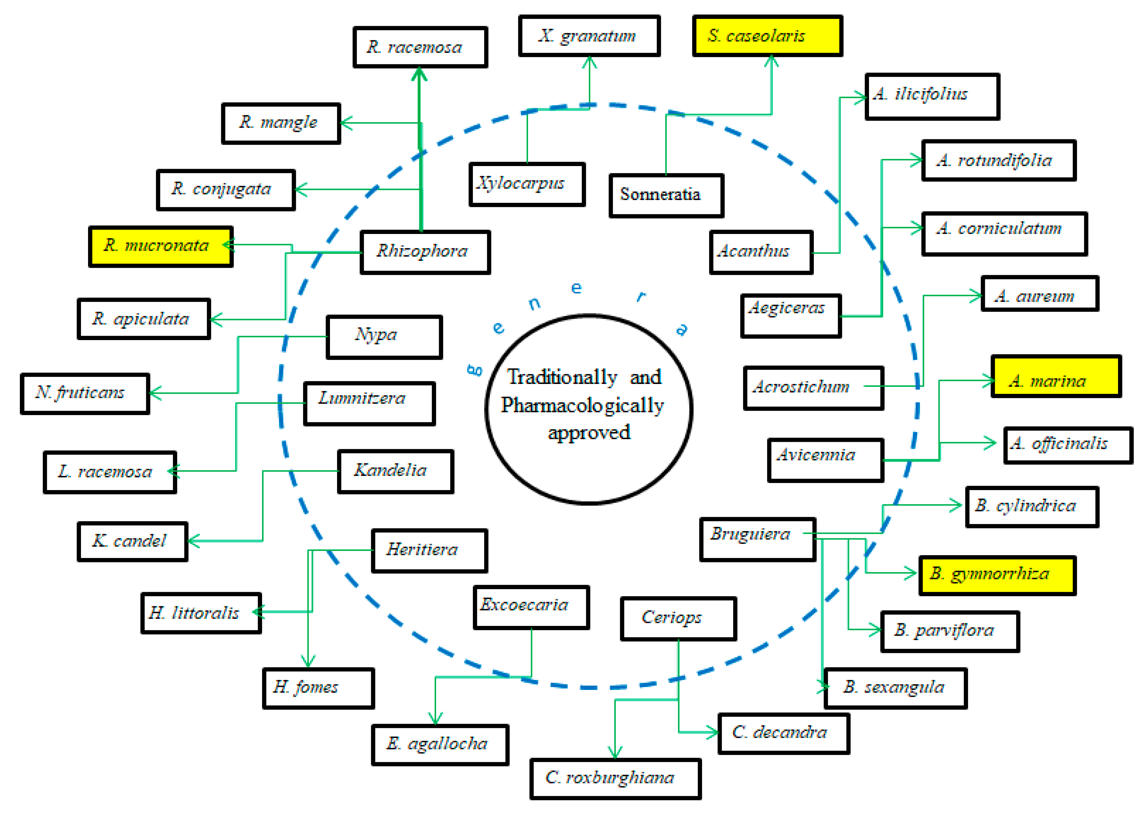 Marinedrugs 20 00303 g018