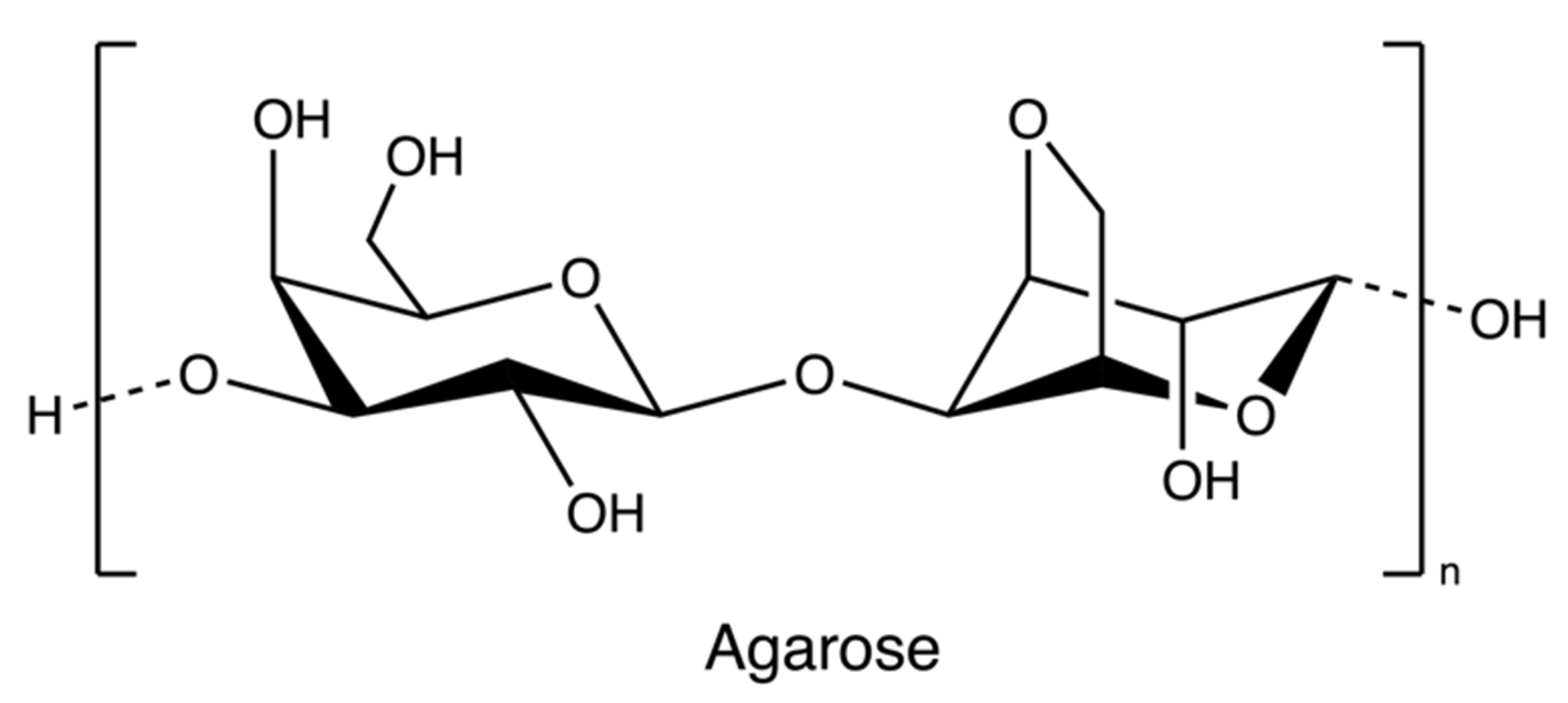 Marinedrugs 20 00306 g006 550