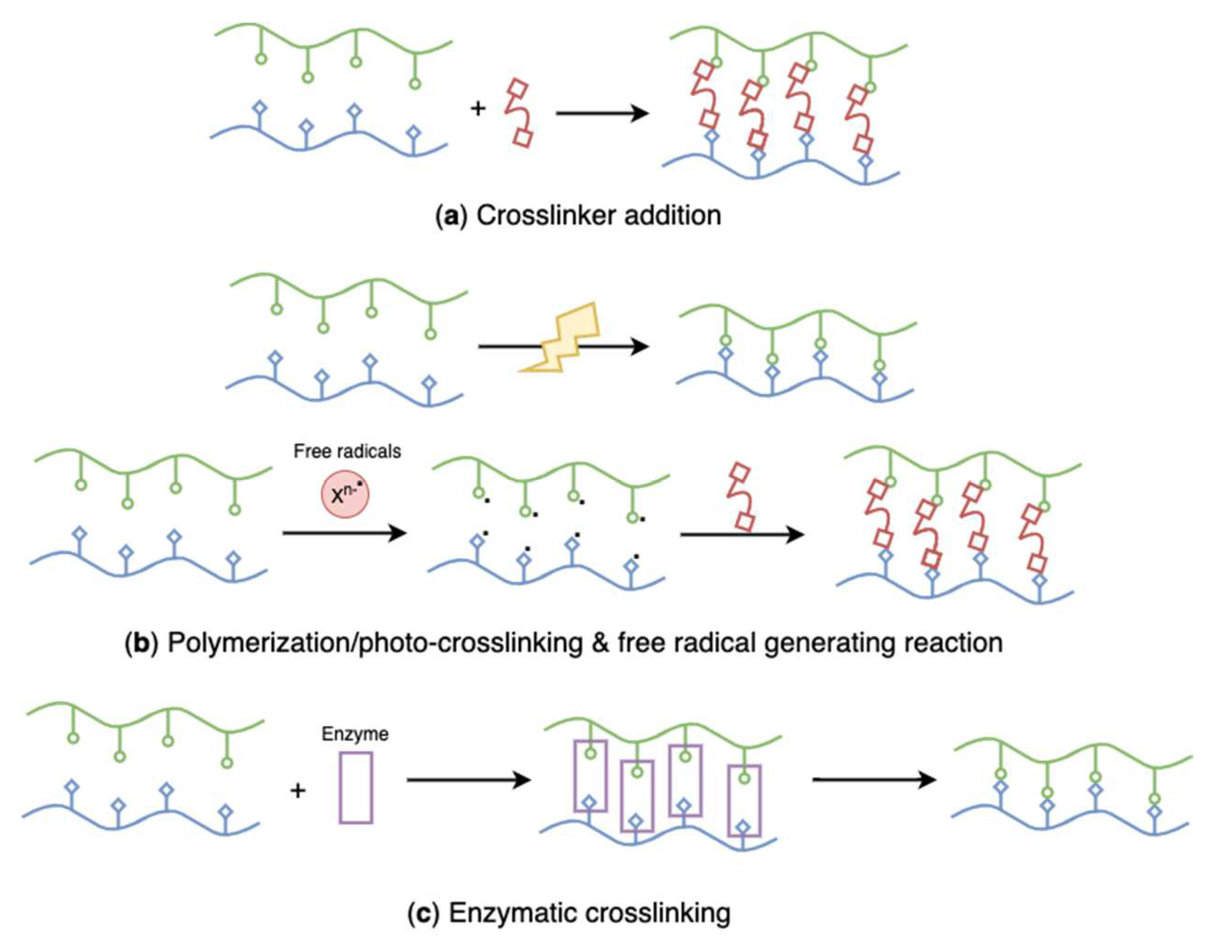 Marinedrugs 20 00306 g022 550