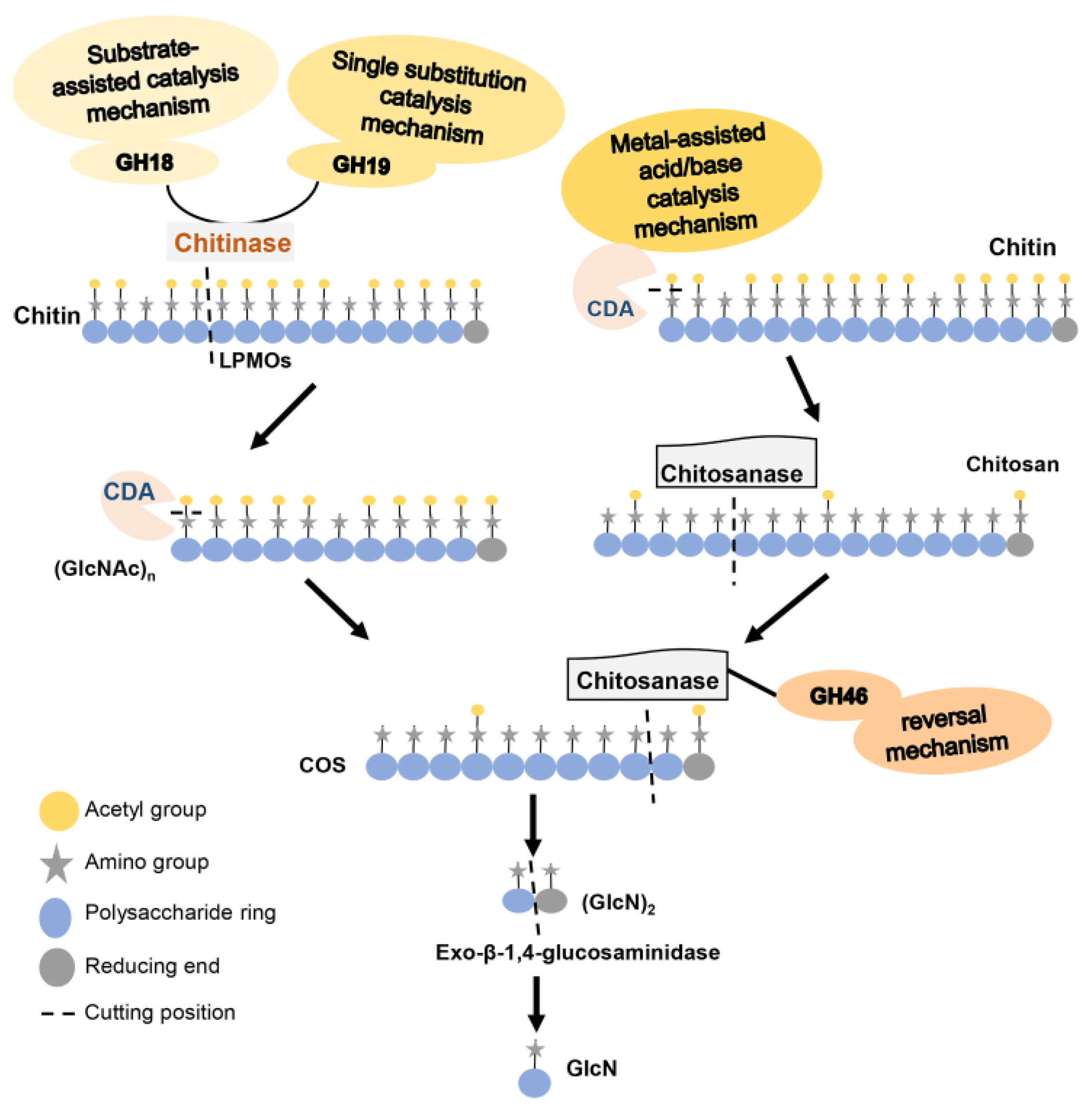 Marinedrugs 20 00310 g001 550