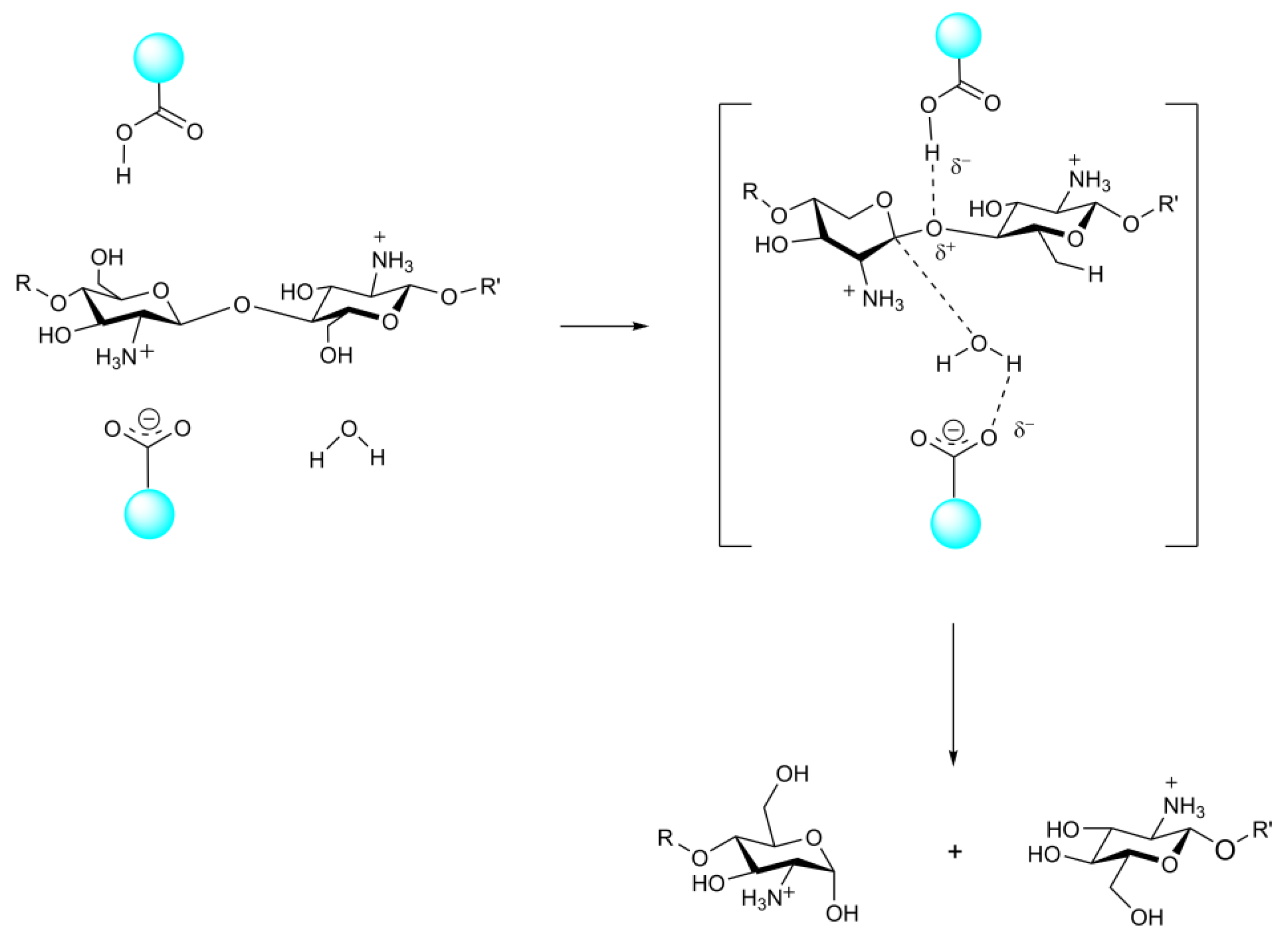 Marinedrugs 20 00310 g007 550