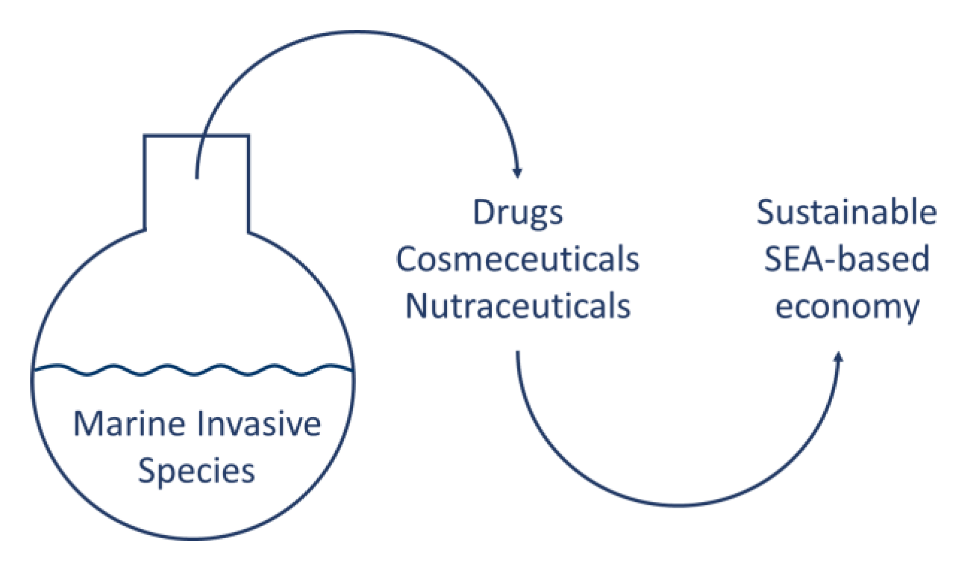 Marinedrugs 20 00311 g001