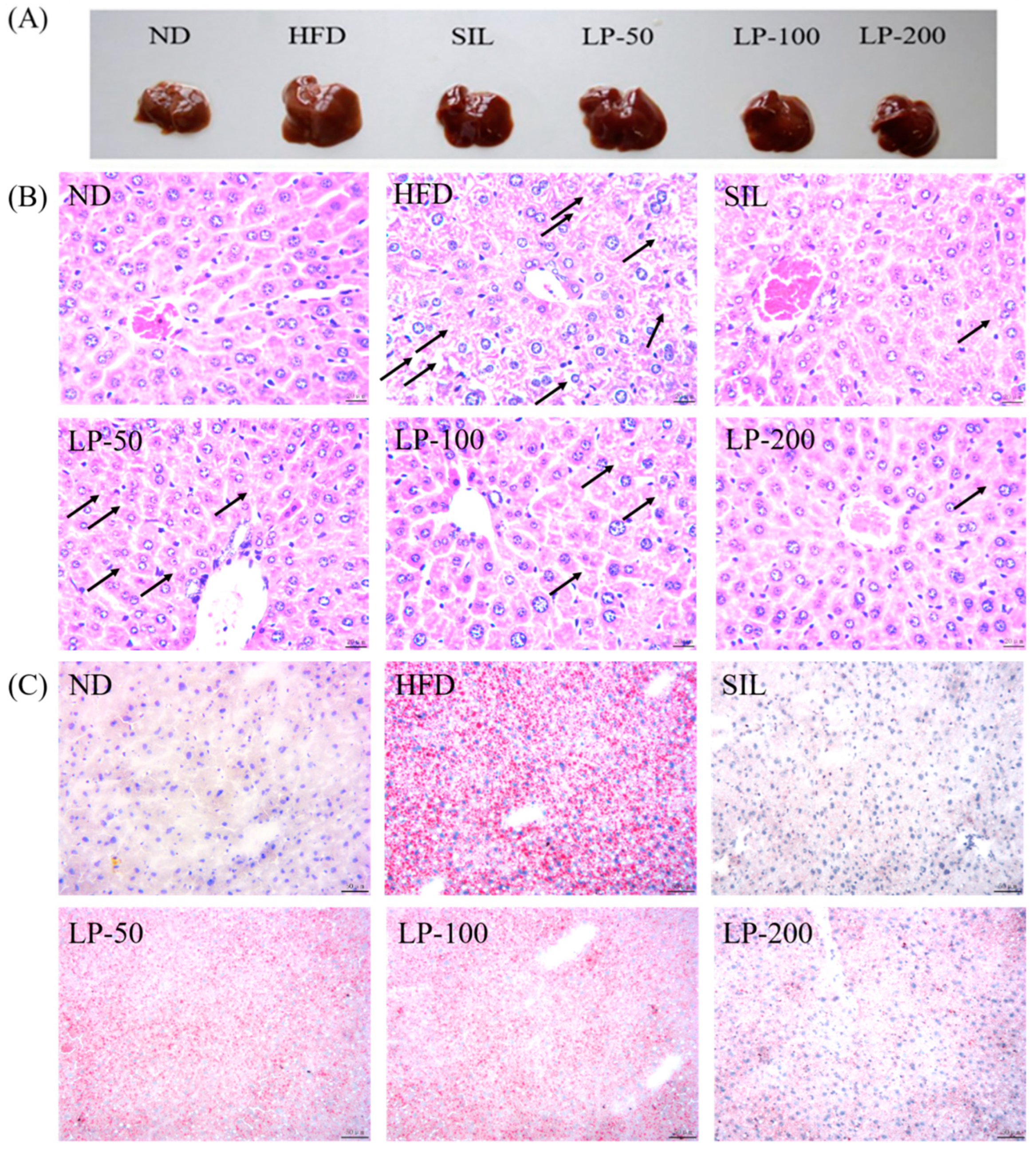 Marinedrugs 20 00312 g005a 550