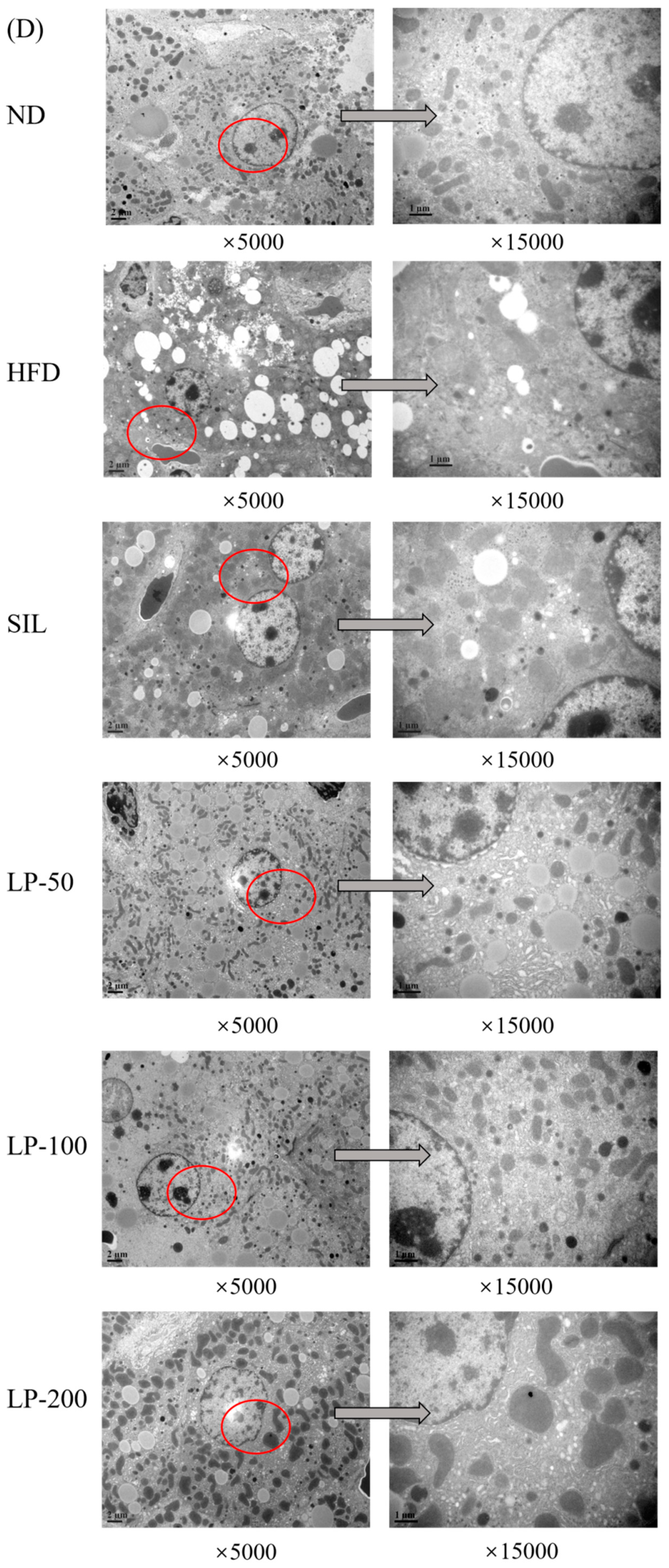 Marinedrugs 20 00312 g005b 550