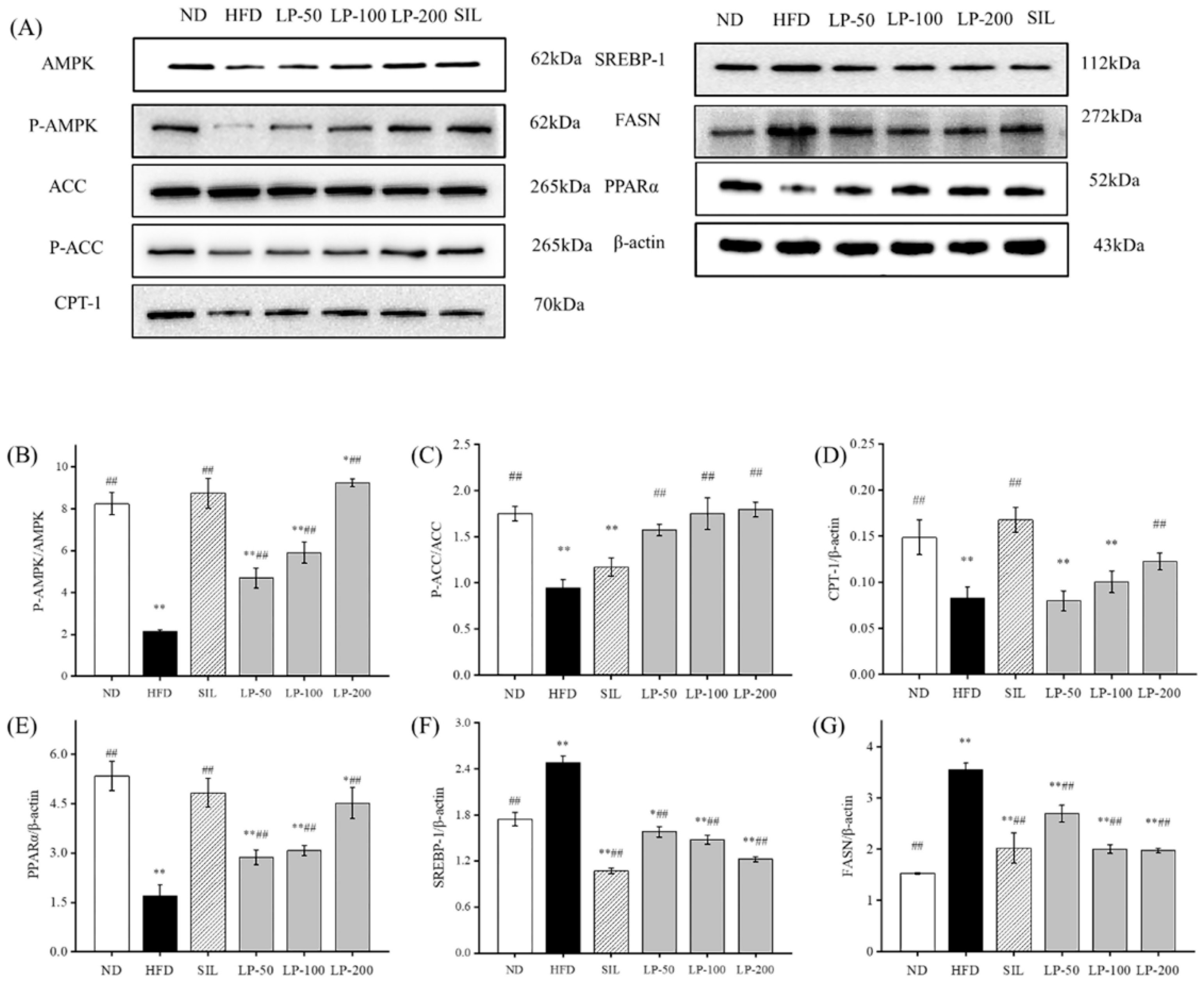 Marinedrugs 20 00312 g006 550