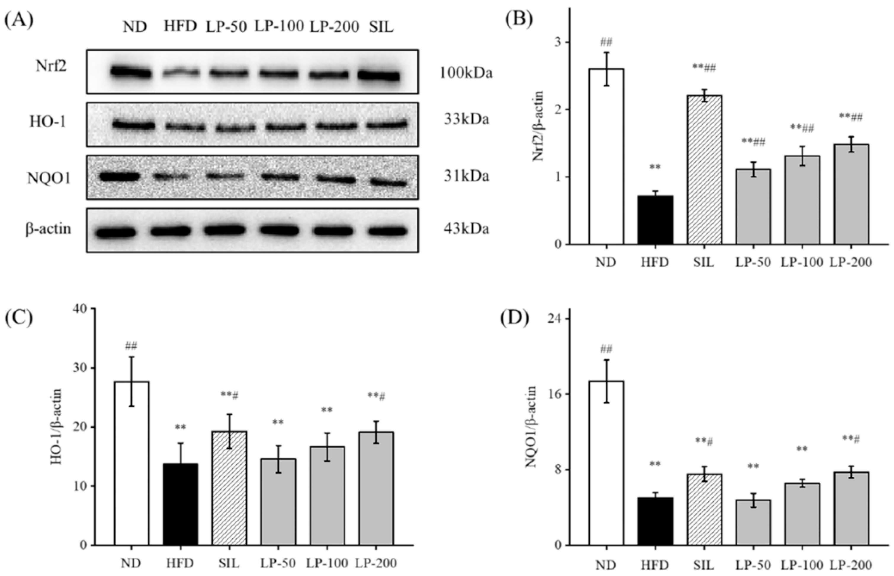 Marinedrugs 20 00312 g007 550