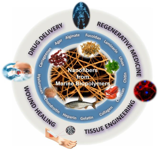 クリスタル ブロンズ 4　KT-2067 Bサイズ Marine Biopolymers as Bioactive Functional Ingredients of