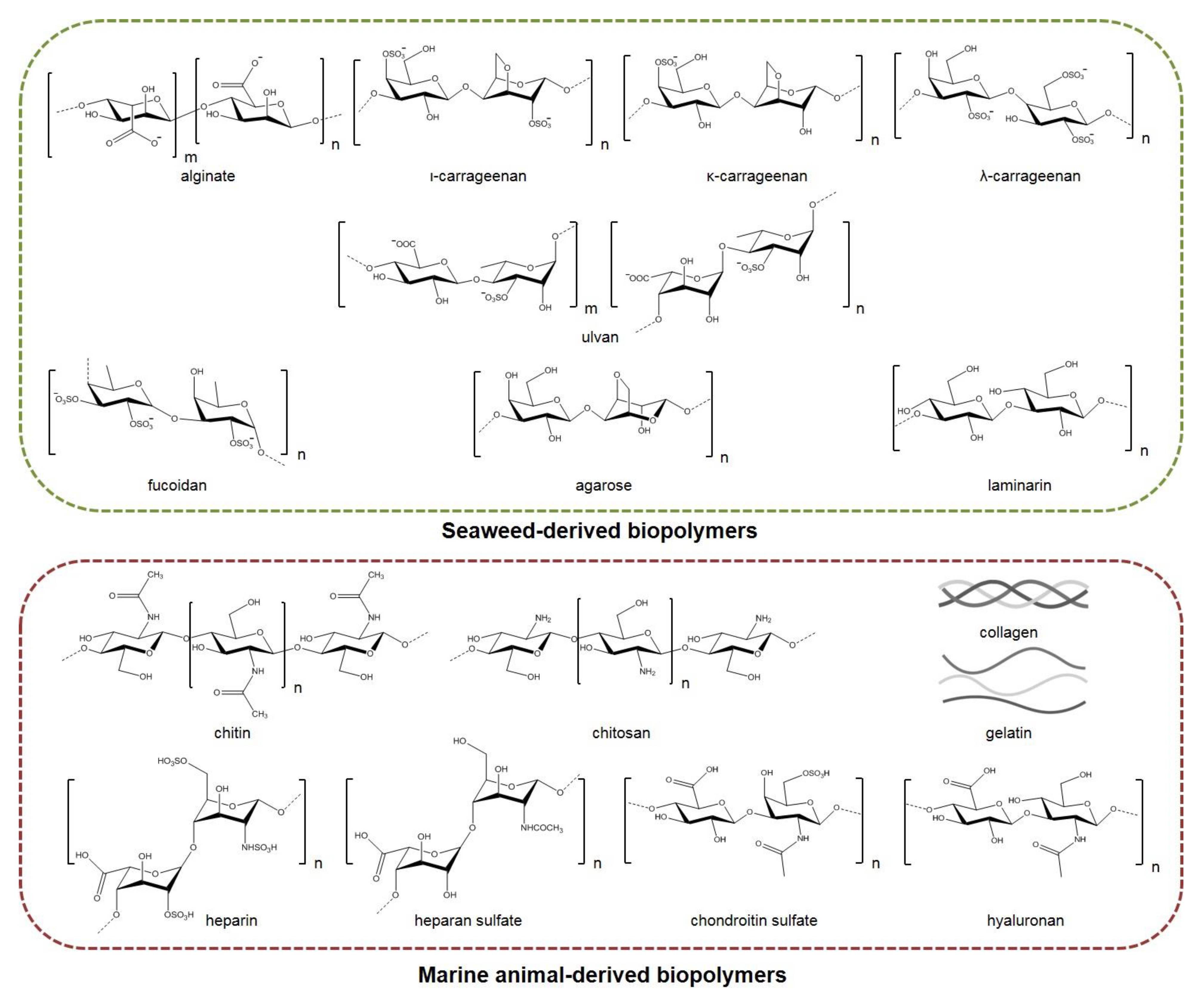 Marinedrugs 20 00314 g002 Marinedrugs 20 00314 g002