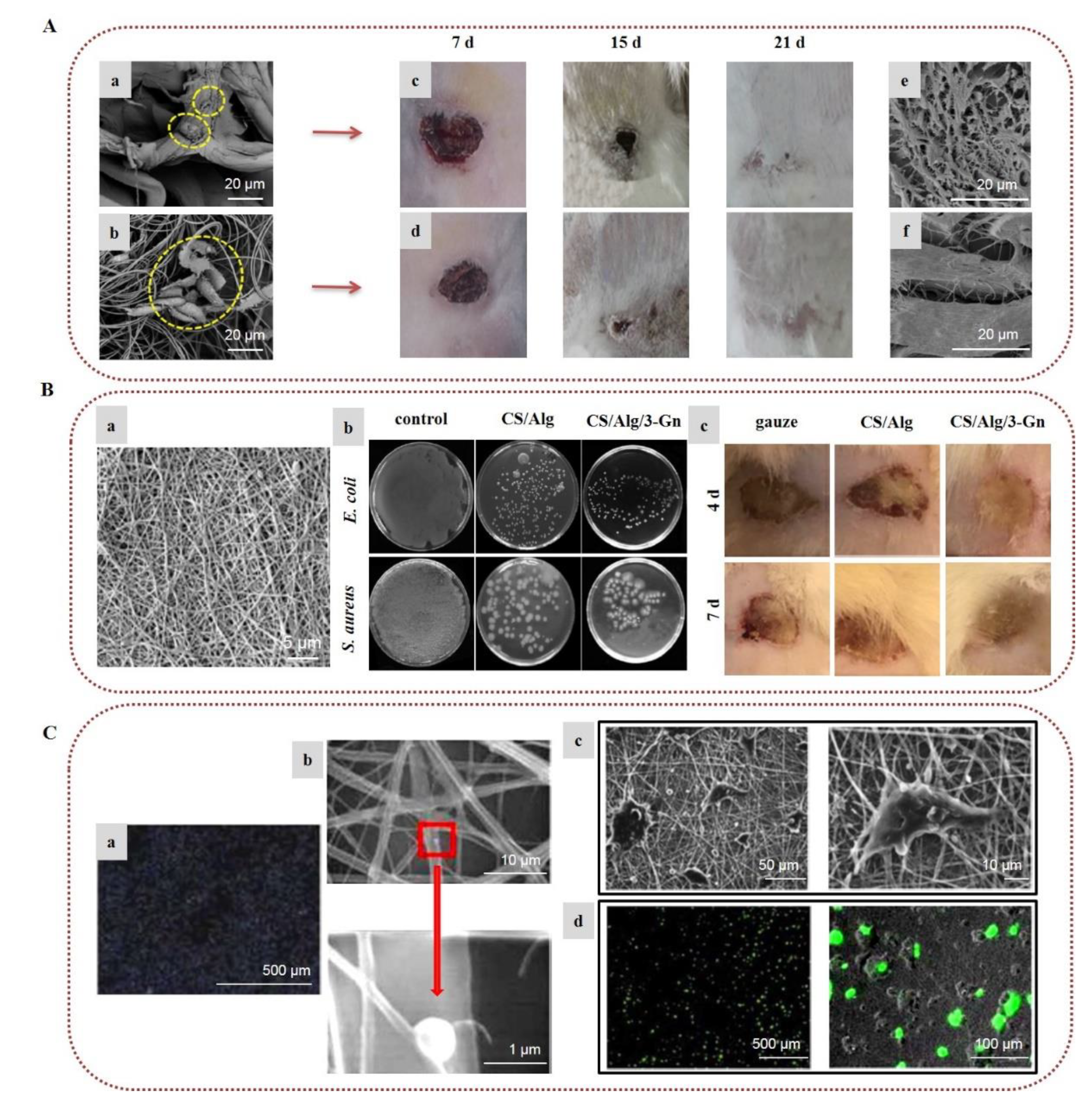 Marinedrugs 20 00314 g003 Marinedrugs 20 00314 g003