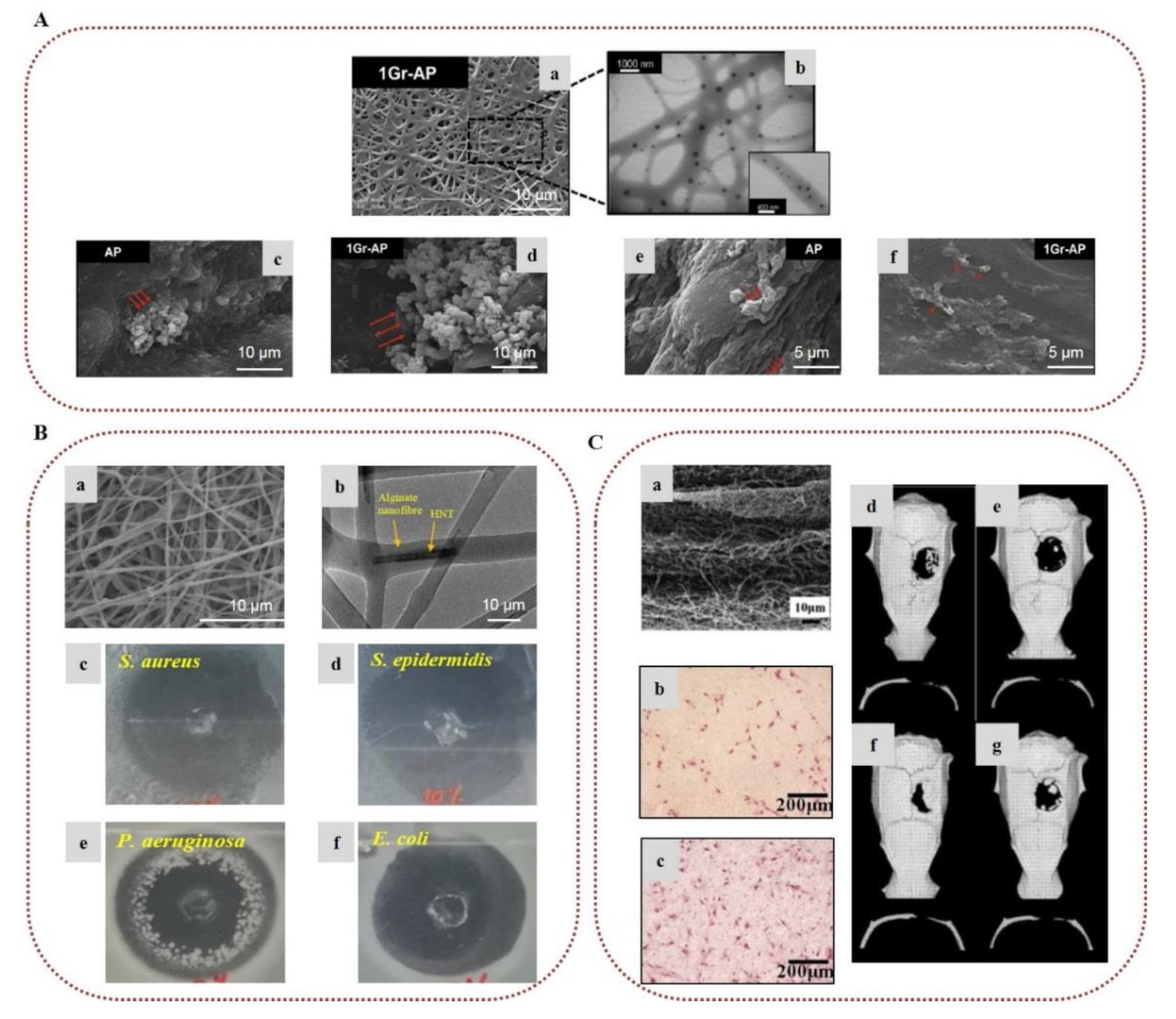 Marinedrugs 20 00314 g004 Marinedrugs 20 00314 g004