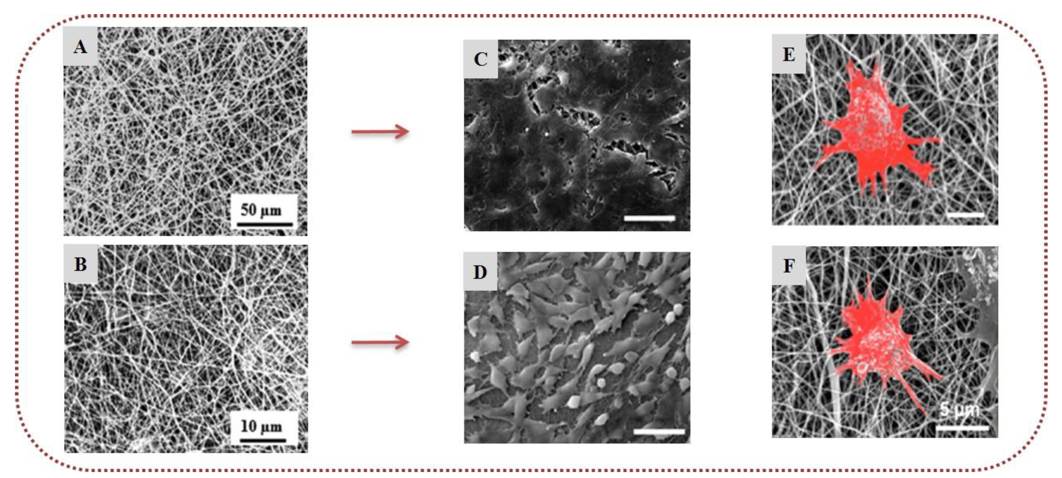 Marinedrugs 20 00314 g006 Marinedrugs 20 00314 g006