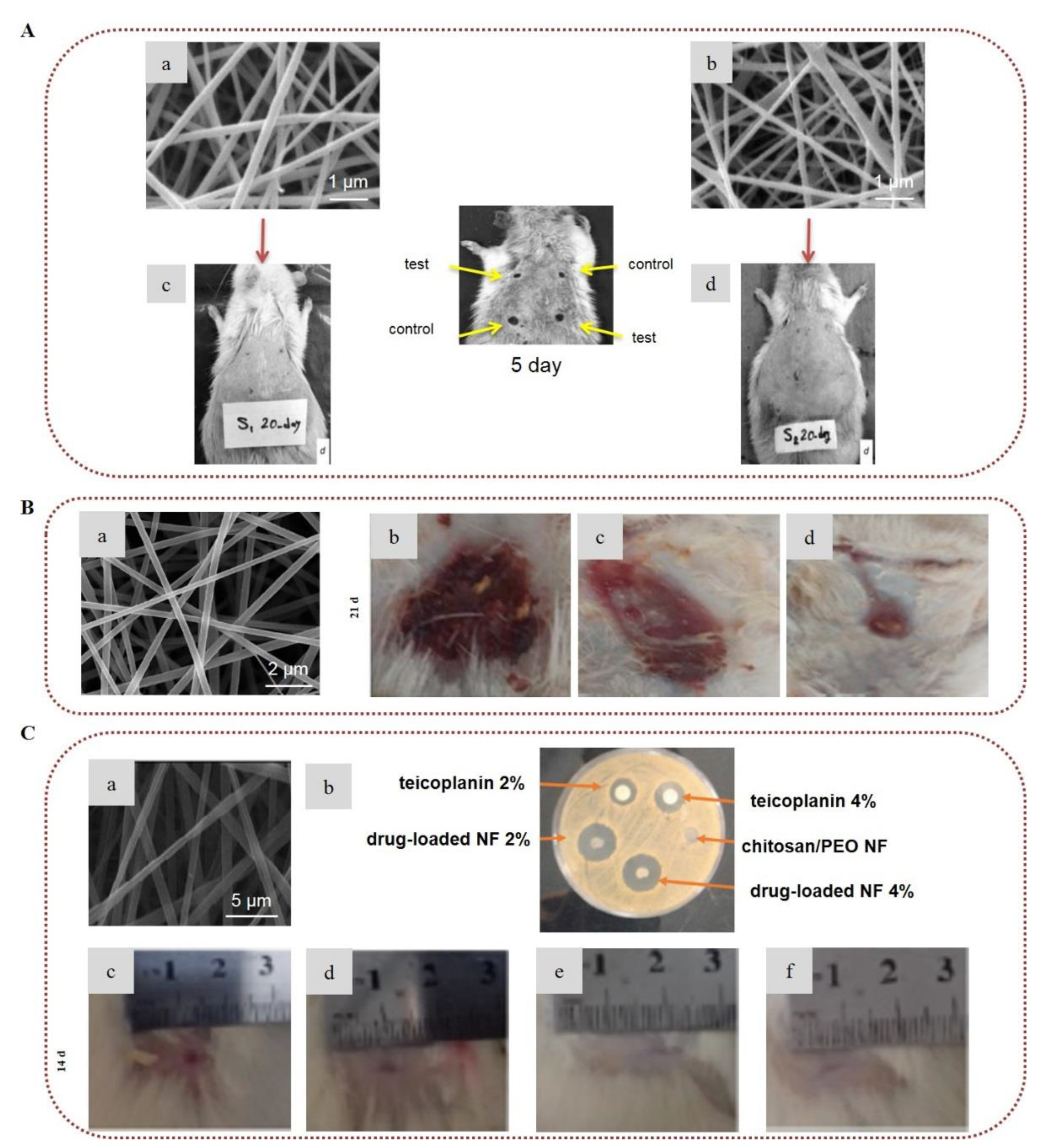 Marinedrugs 20 00314 g007 Marinedrugs 20 00314 g007