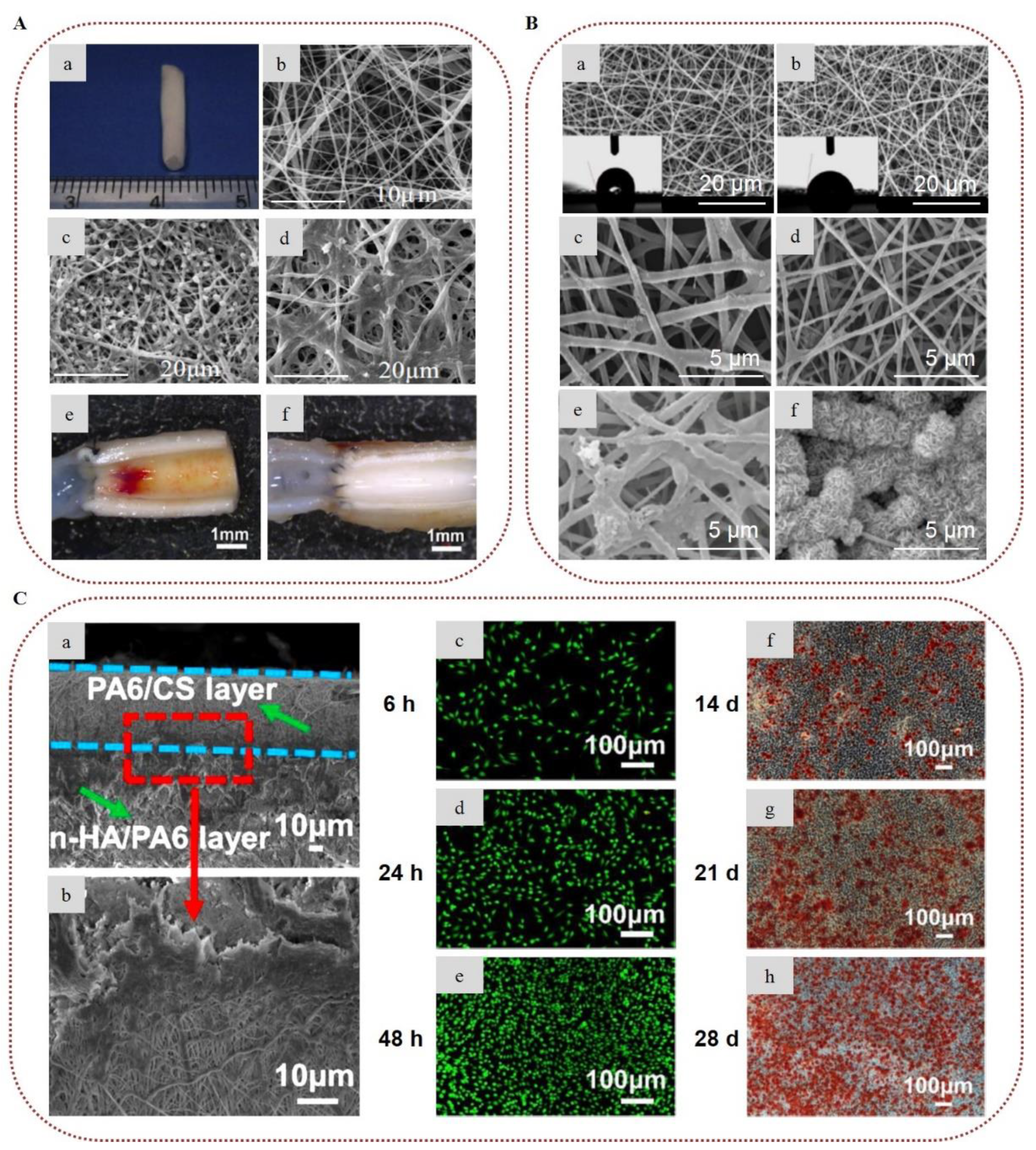 Marinedrugs 20 00314 g008 Marinedrugs 20 00314 g008
