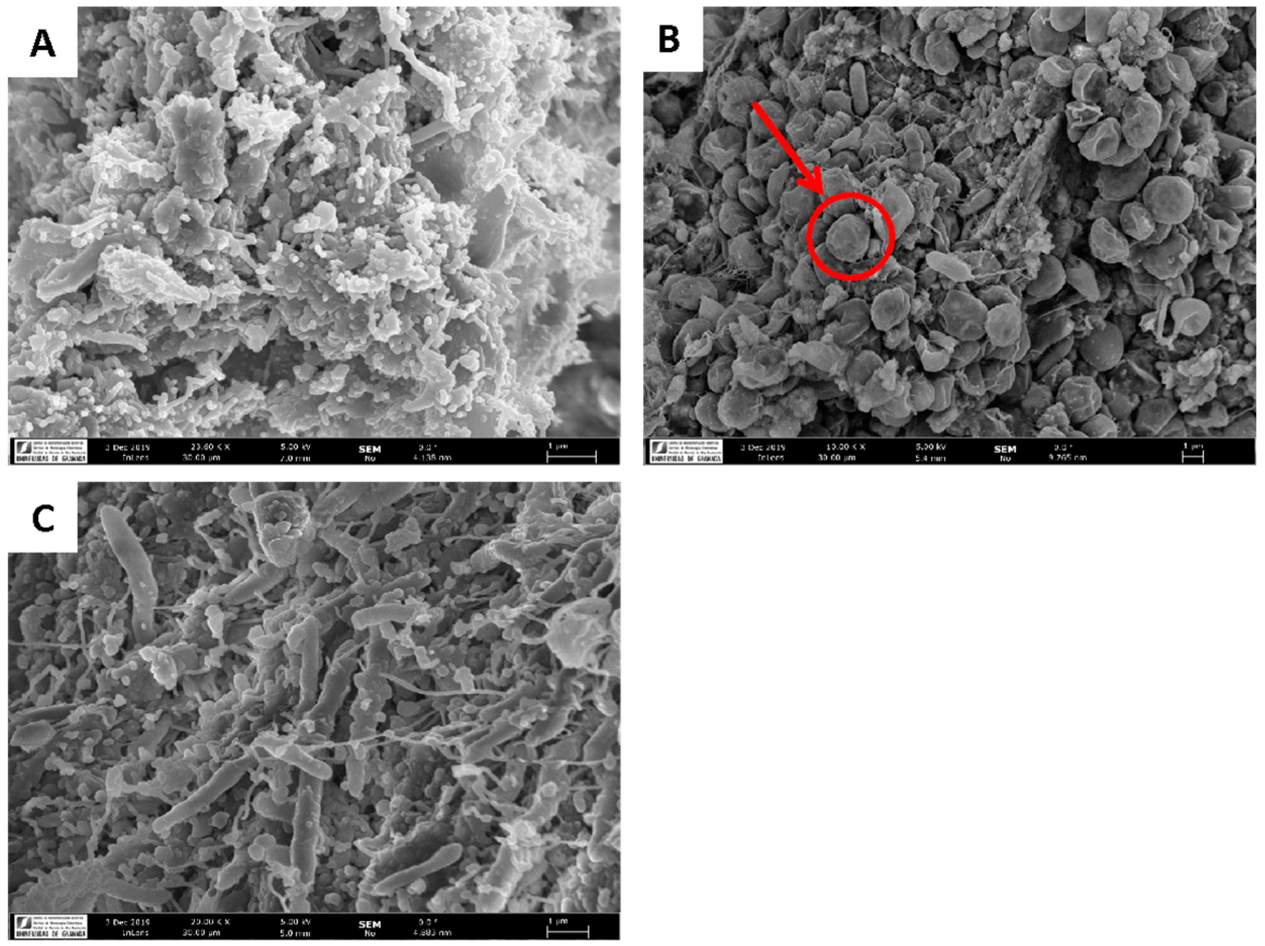 Marinedrugs 20 00318 g002 550