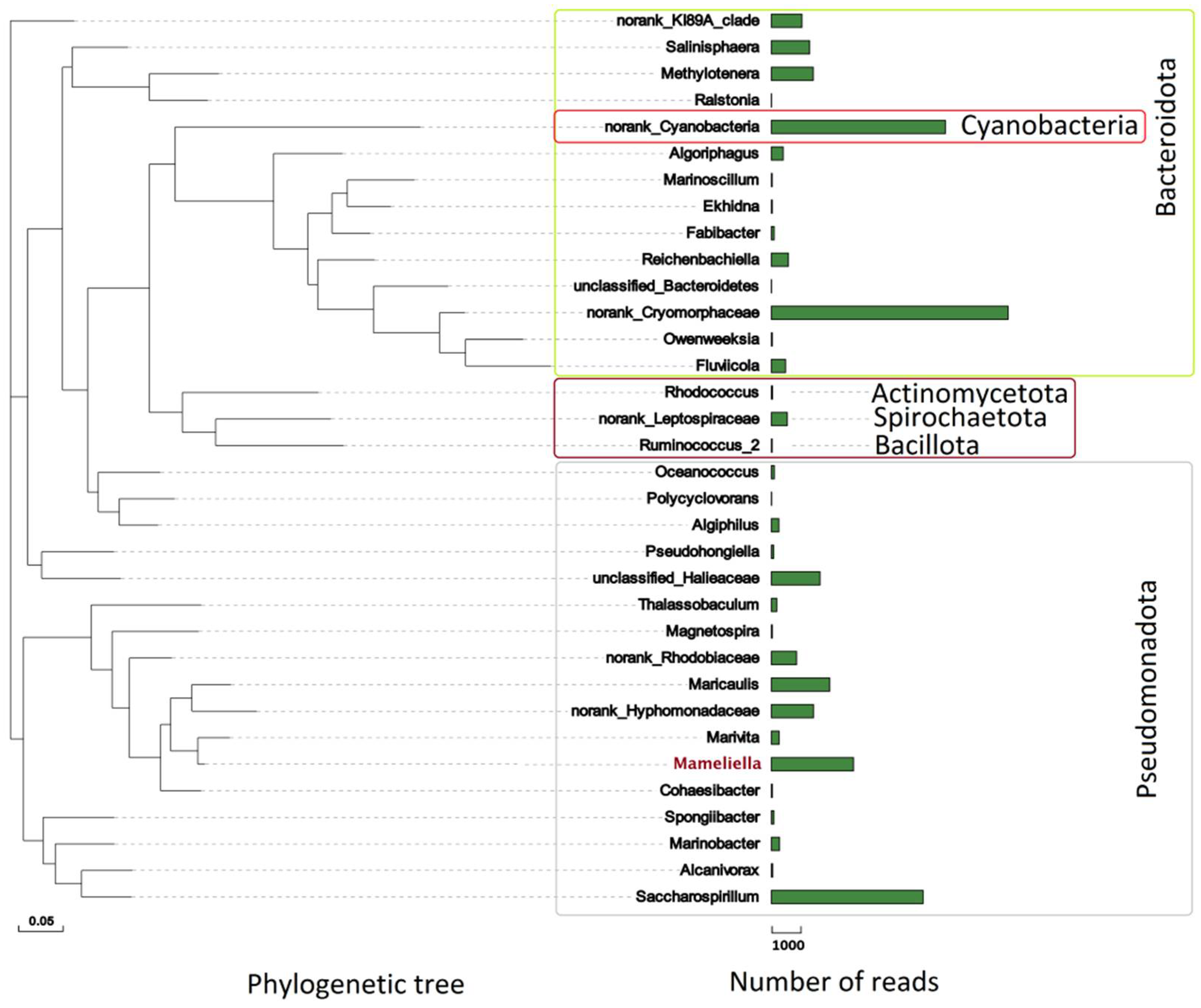 Marinedrugs 20 00321 g001