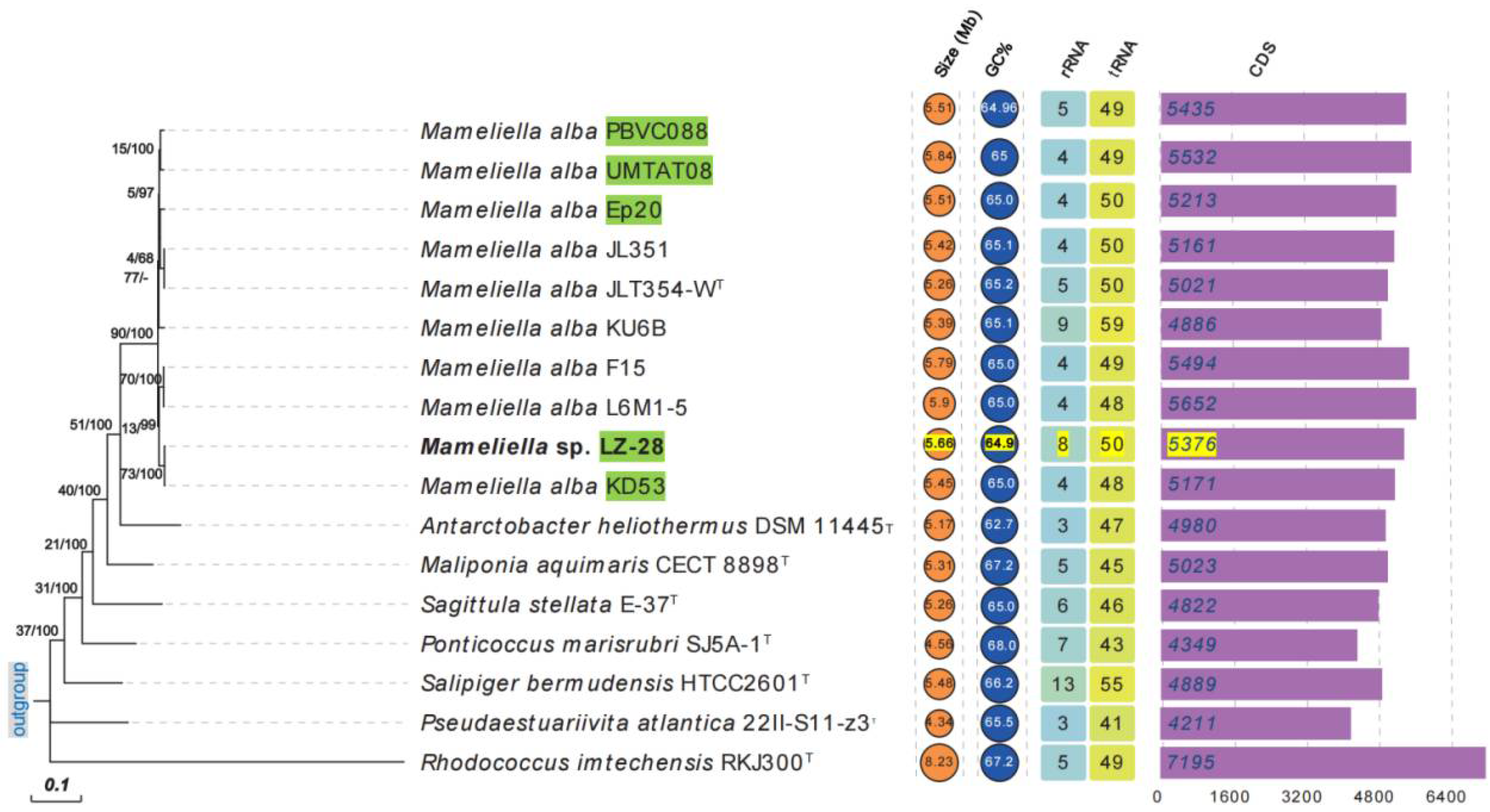 Marinedrugs 20 00321 g004