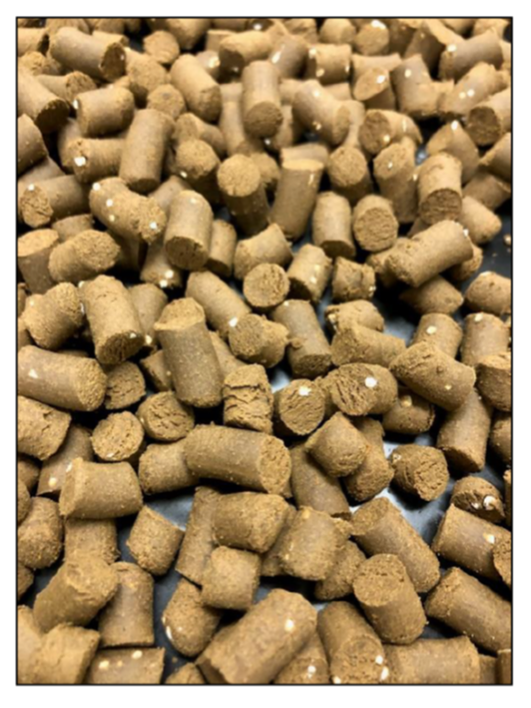 Marinedrugs 20 00323 g010