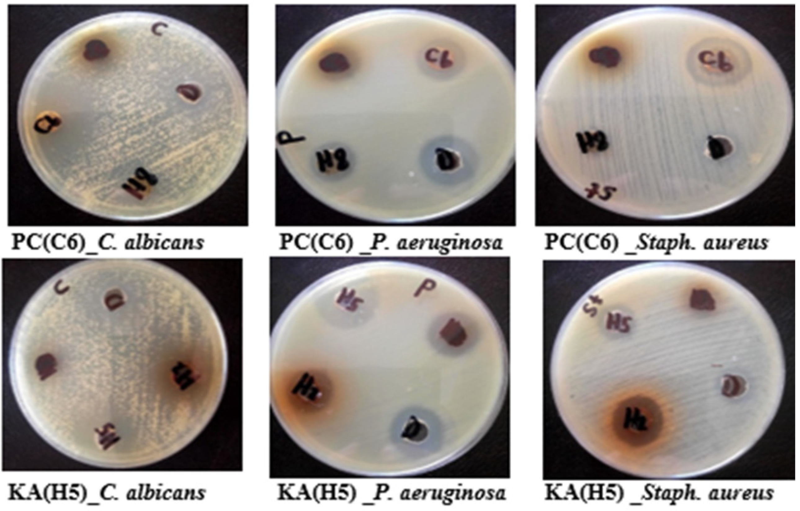 Marinedrugs 20 00326 g003