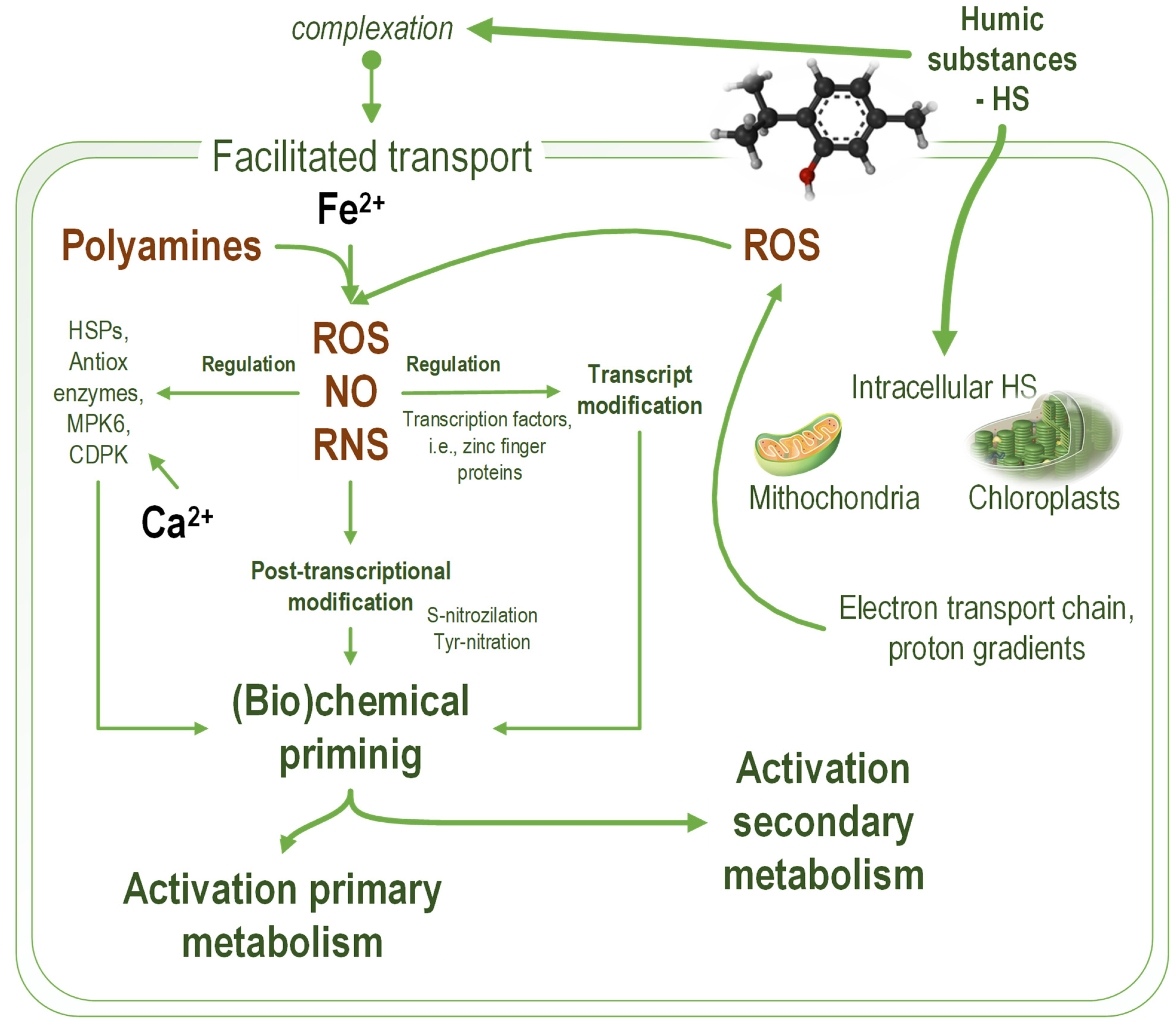 Marinedrugs 20 00327 g001 550