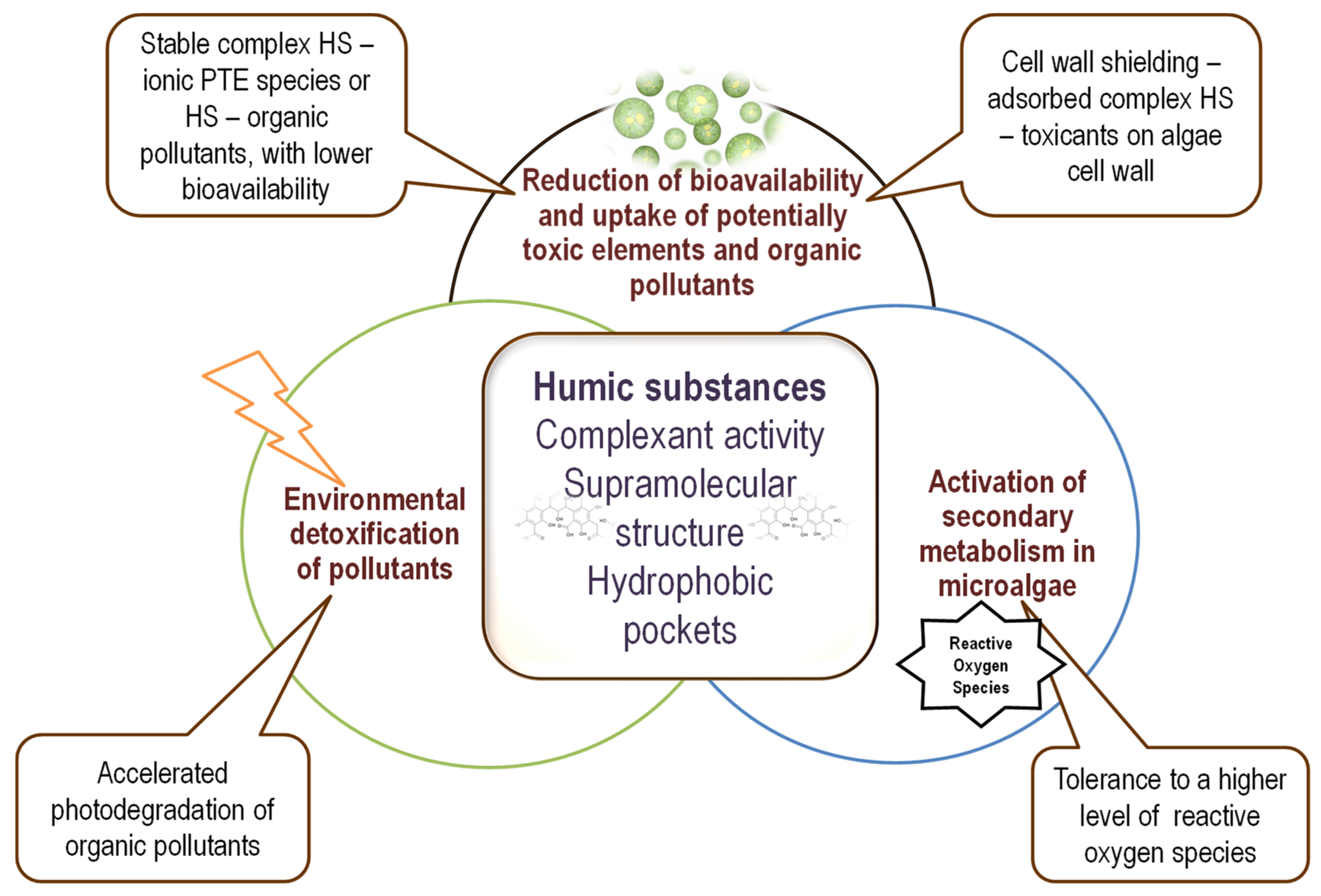 Marinedrugs 20 00327 g002 550