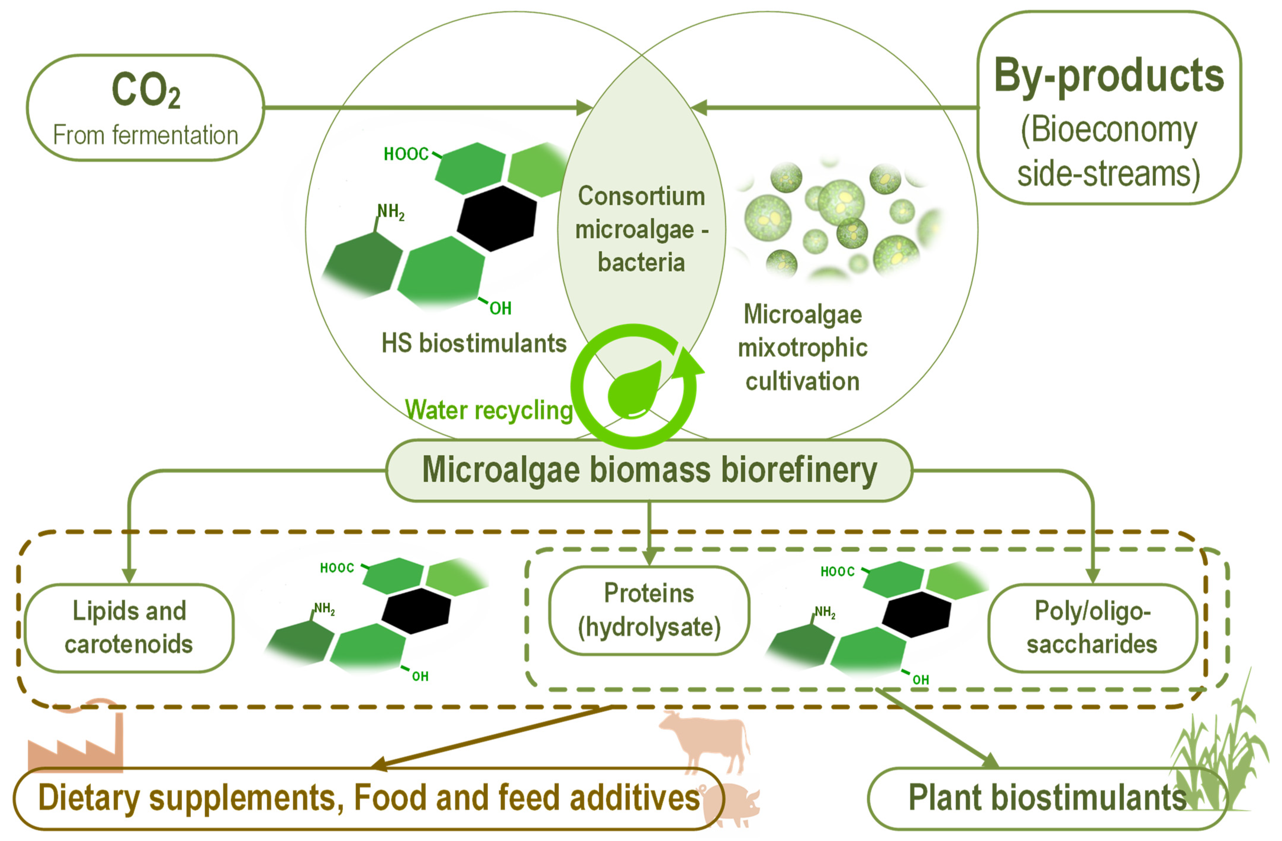 Marinedrugs 20 00327 g004 550