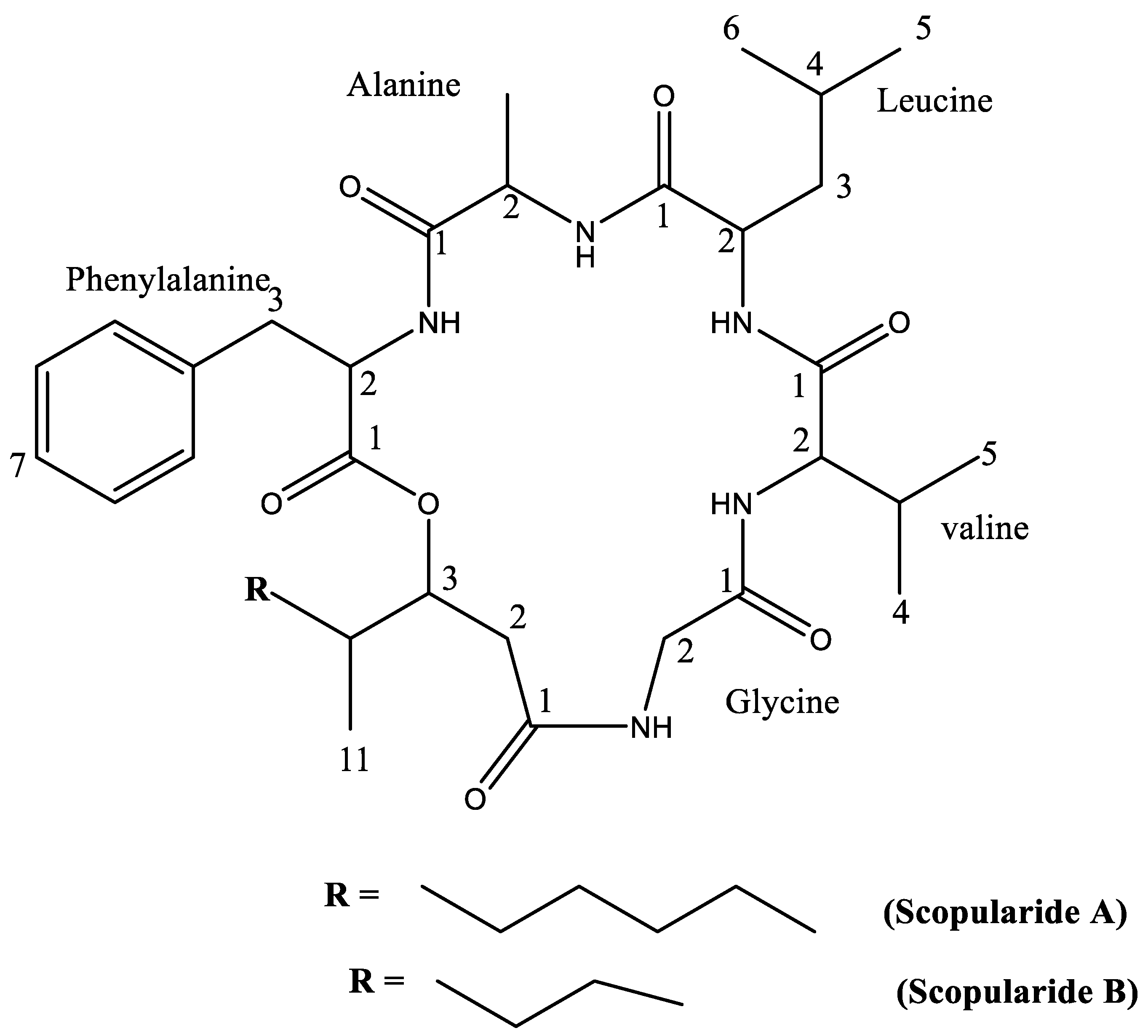 Marinedrugs 20 00331 g001 Marinedrugs 20 00331 g001