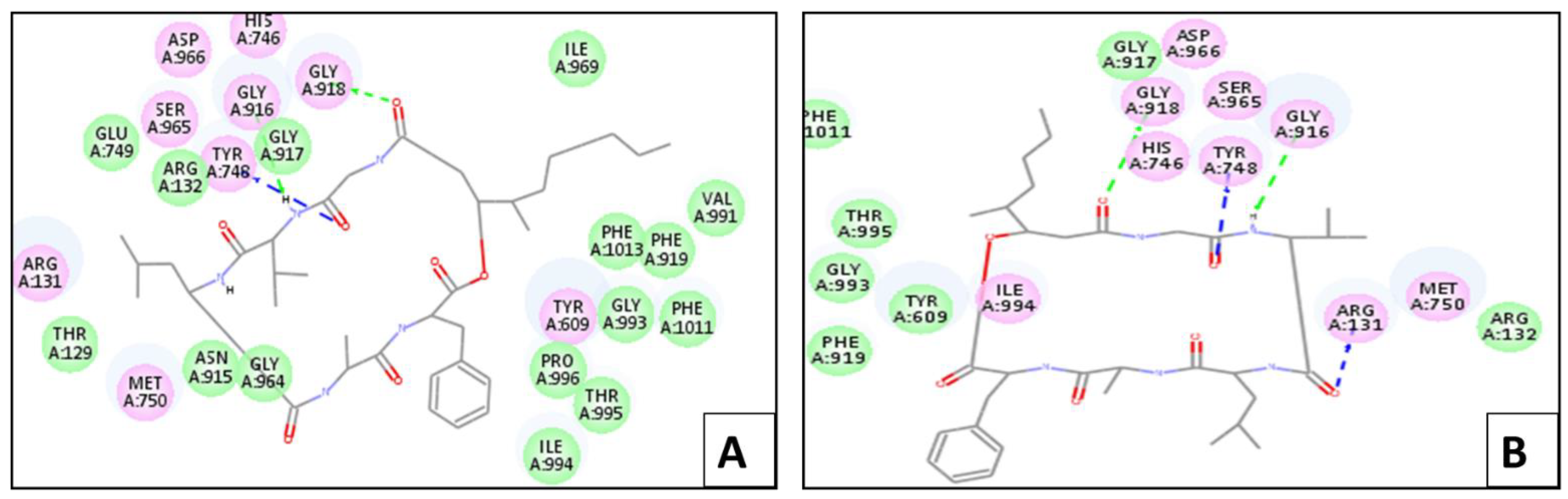 Marinedrugs 20 00331 g005 Marinedrugs 20 00331 g005