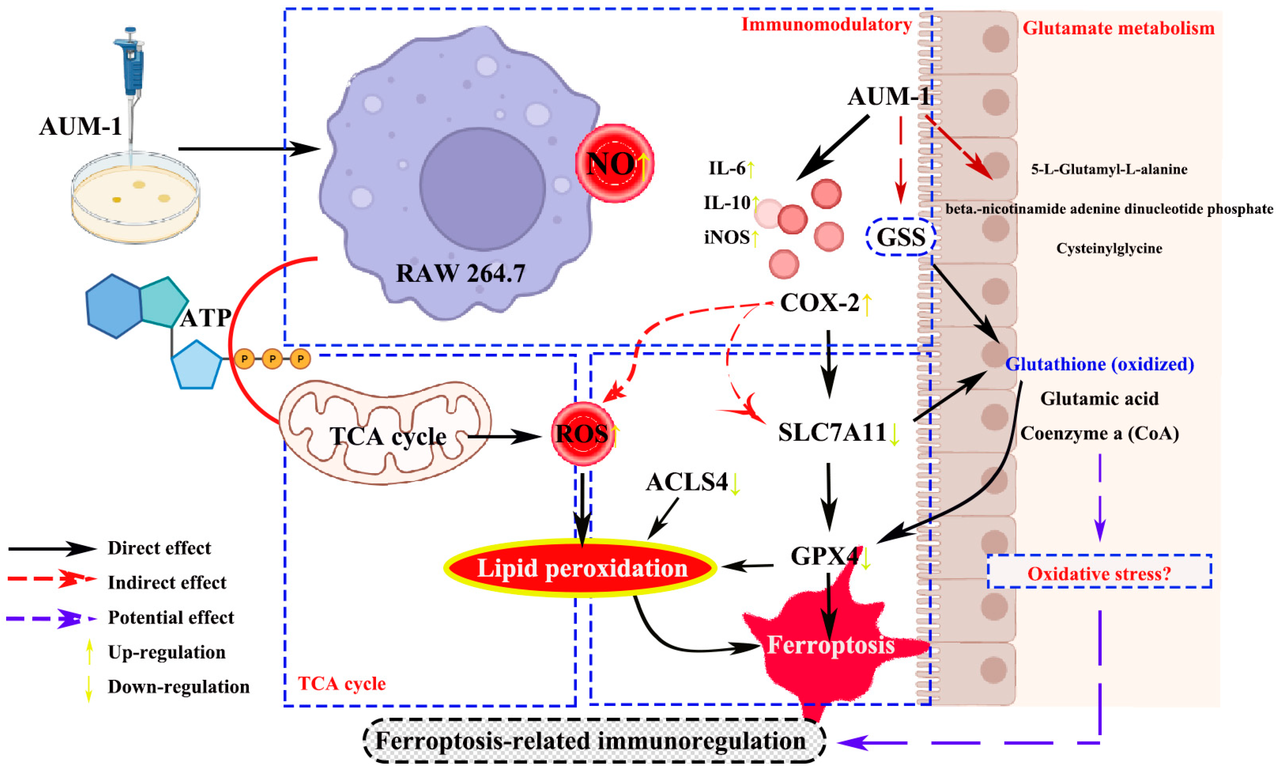 Marinedrugs 20 00332 g007