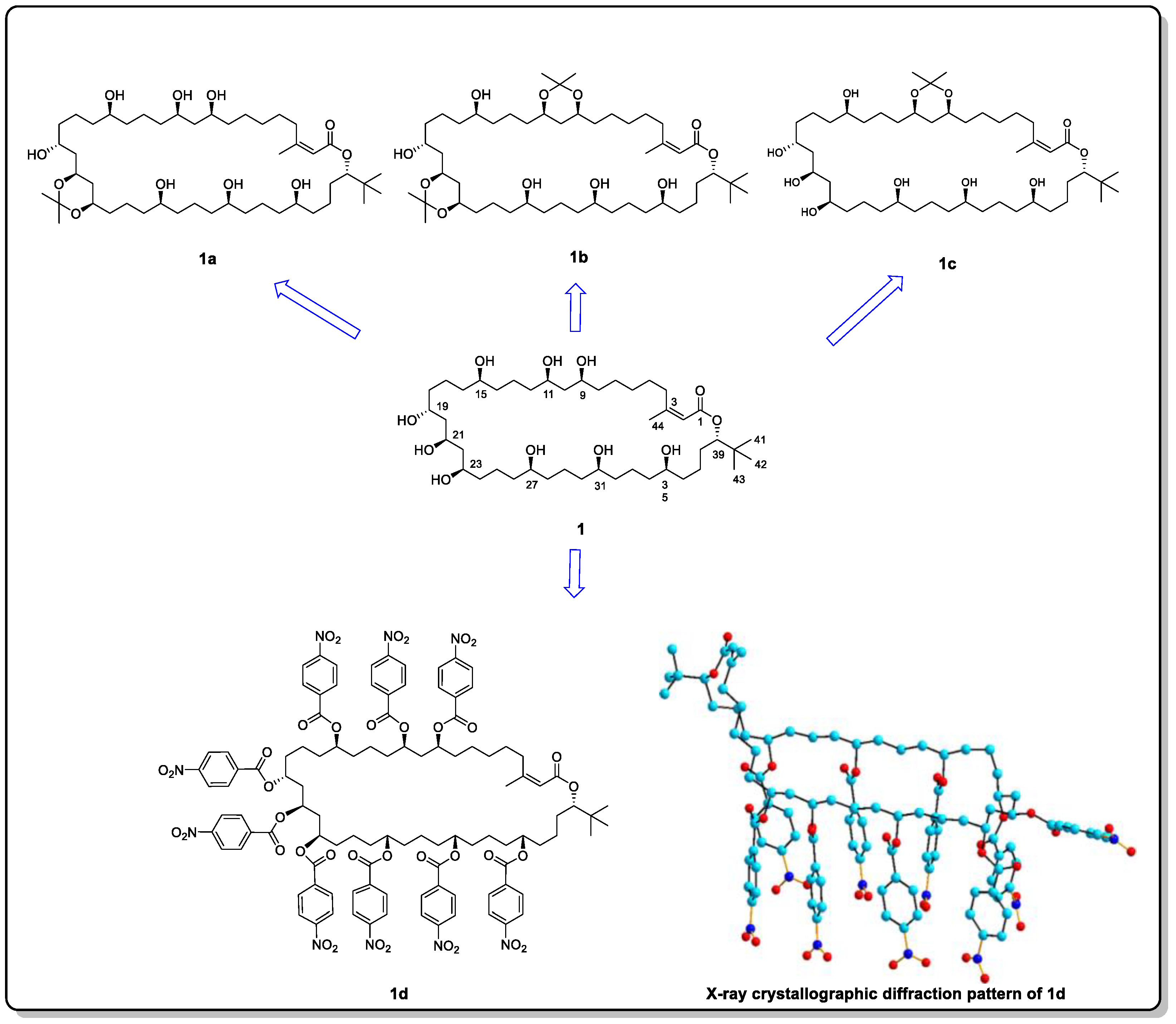 Marinedrugs 20 00333 g002